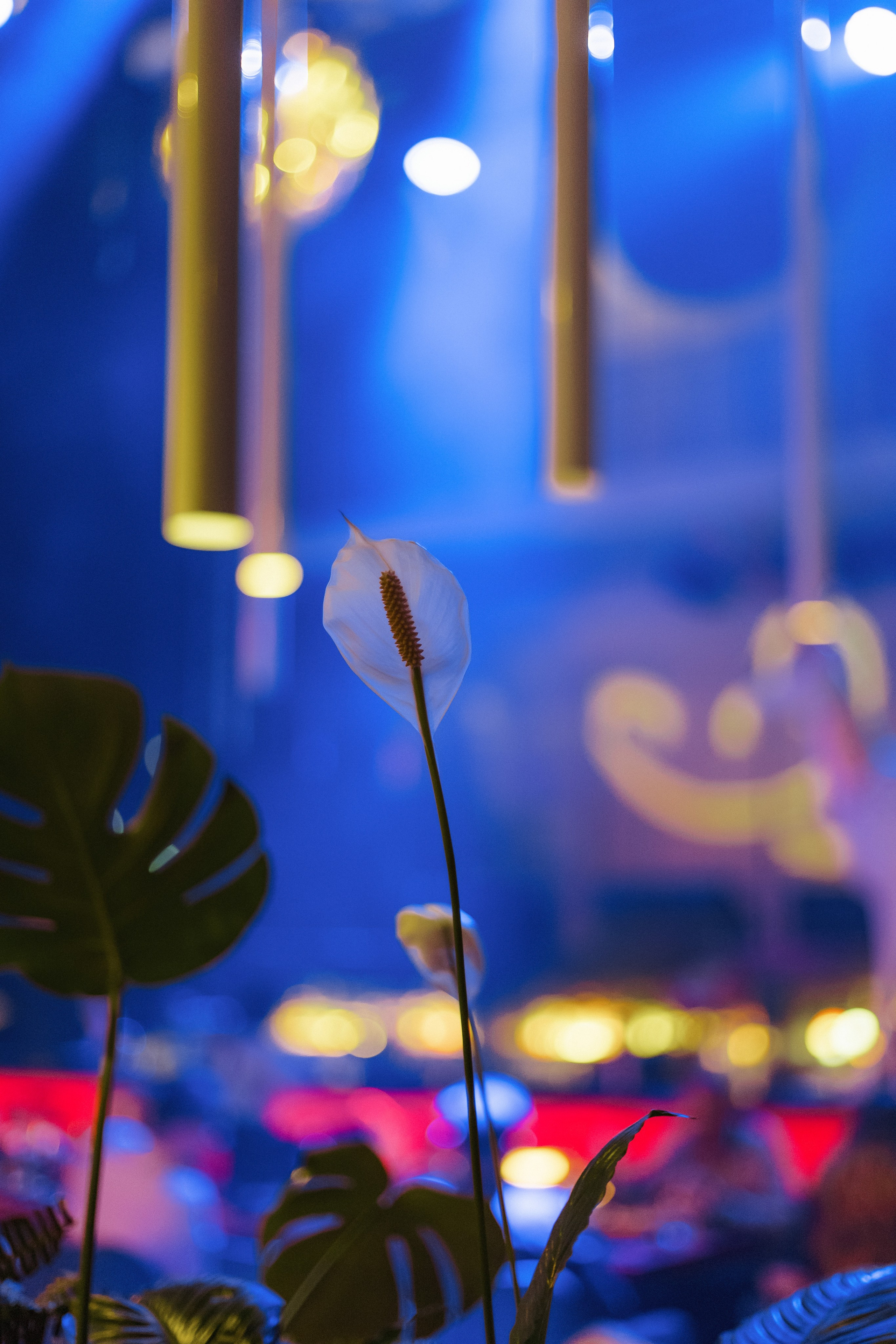 Ресторану ЭХО 10 ЛЕТ. СВОИ. ФОТООТЧЕТЫ-СОБЫТИЯ-МЕСТА