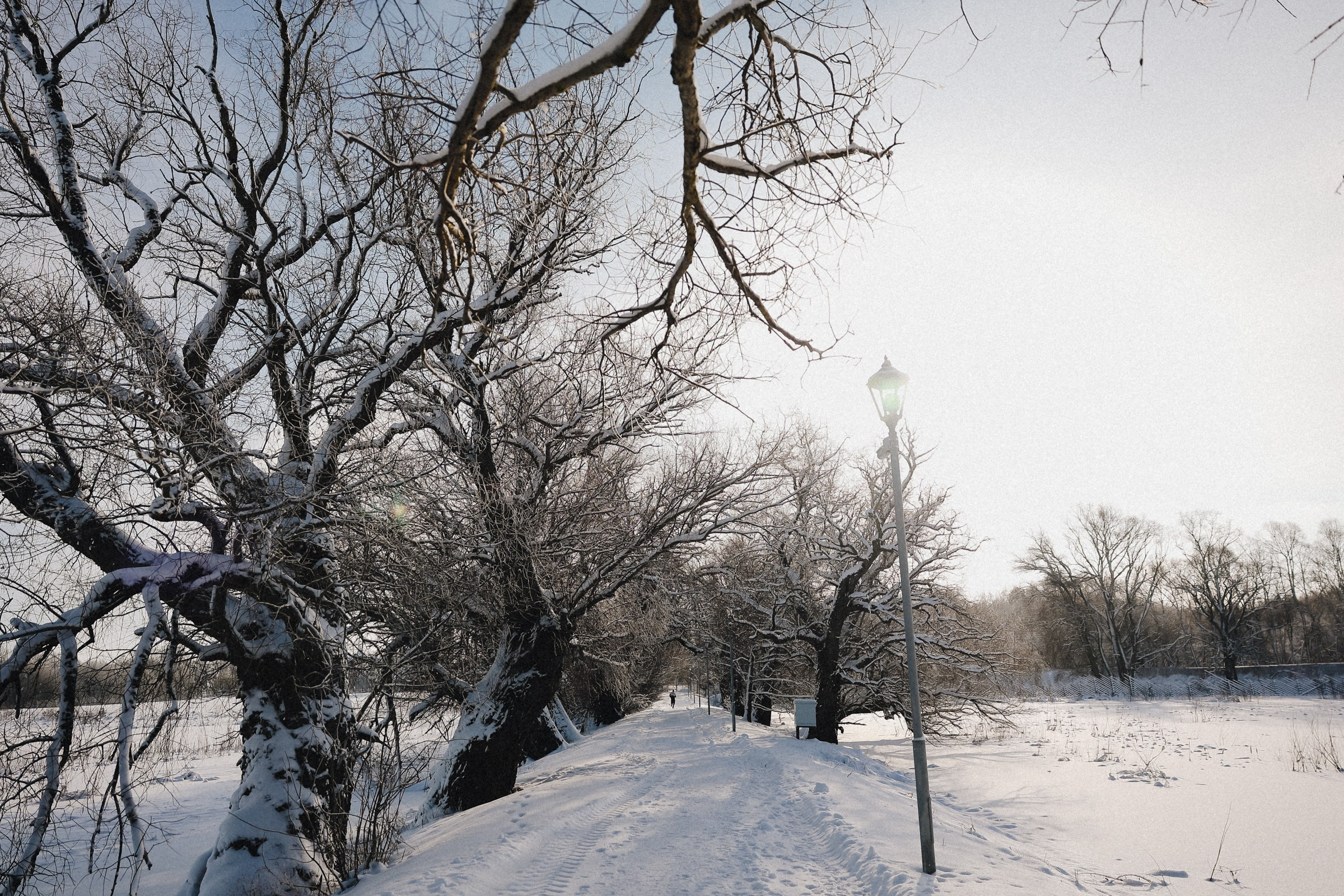 /РЕПОРТАЖ/ NOVGOROD ICE 2025. Свадебный фотограф Великий Новгород Станислав Кособудский