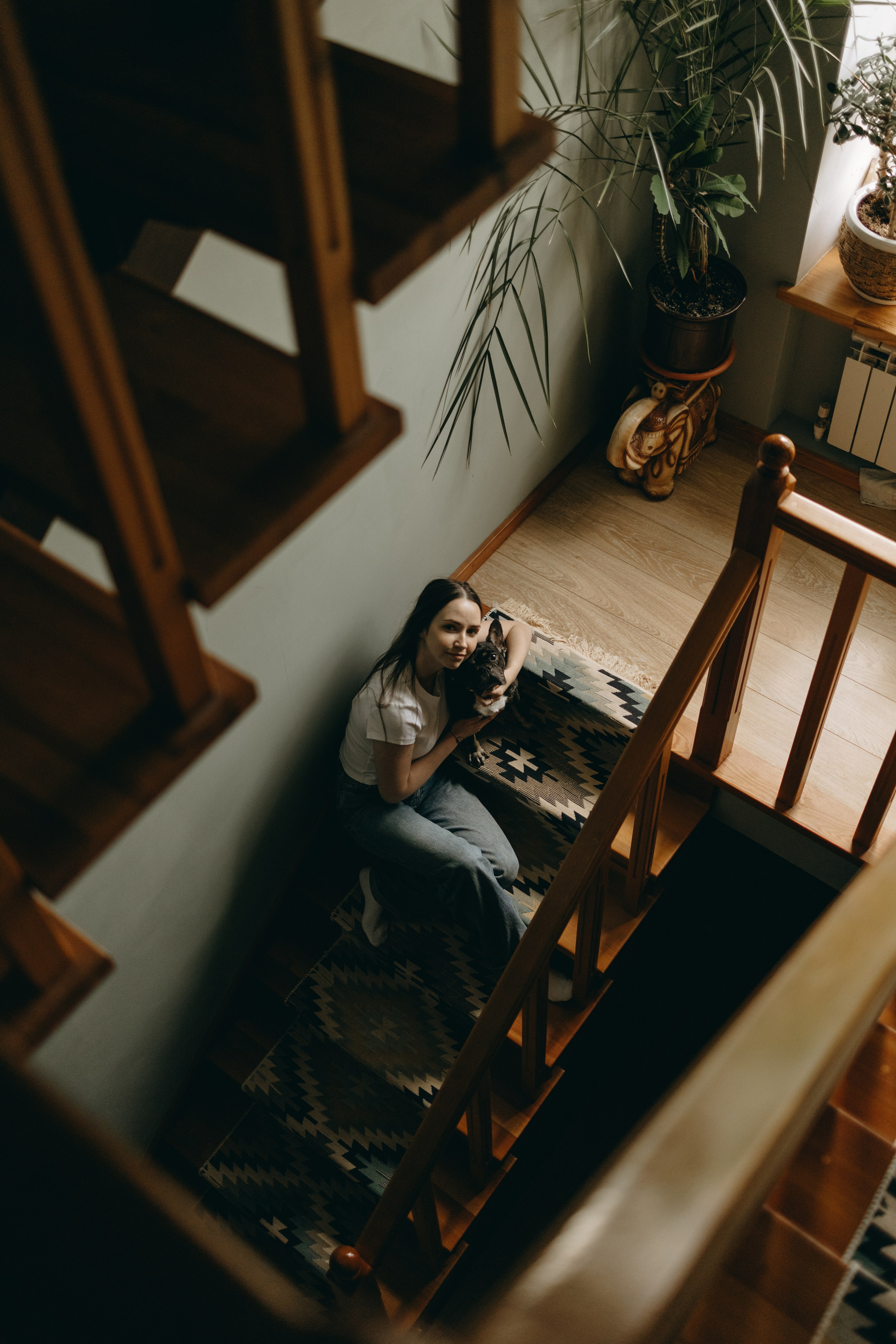 Софа и ее хвостики. Фотограф — Анималист | Санкт-Петербург