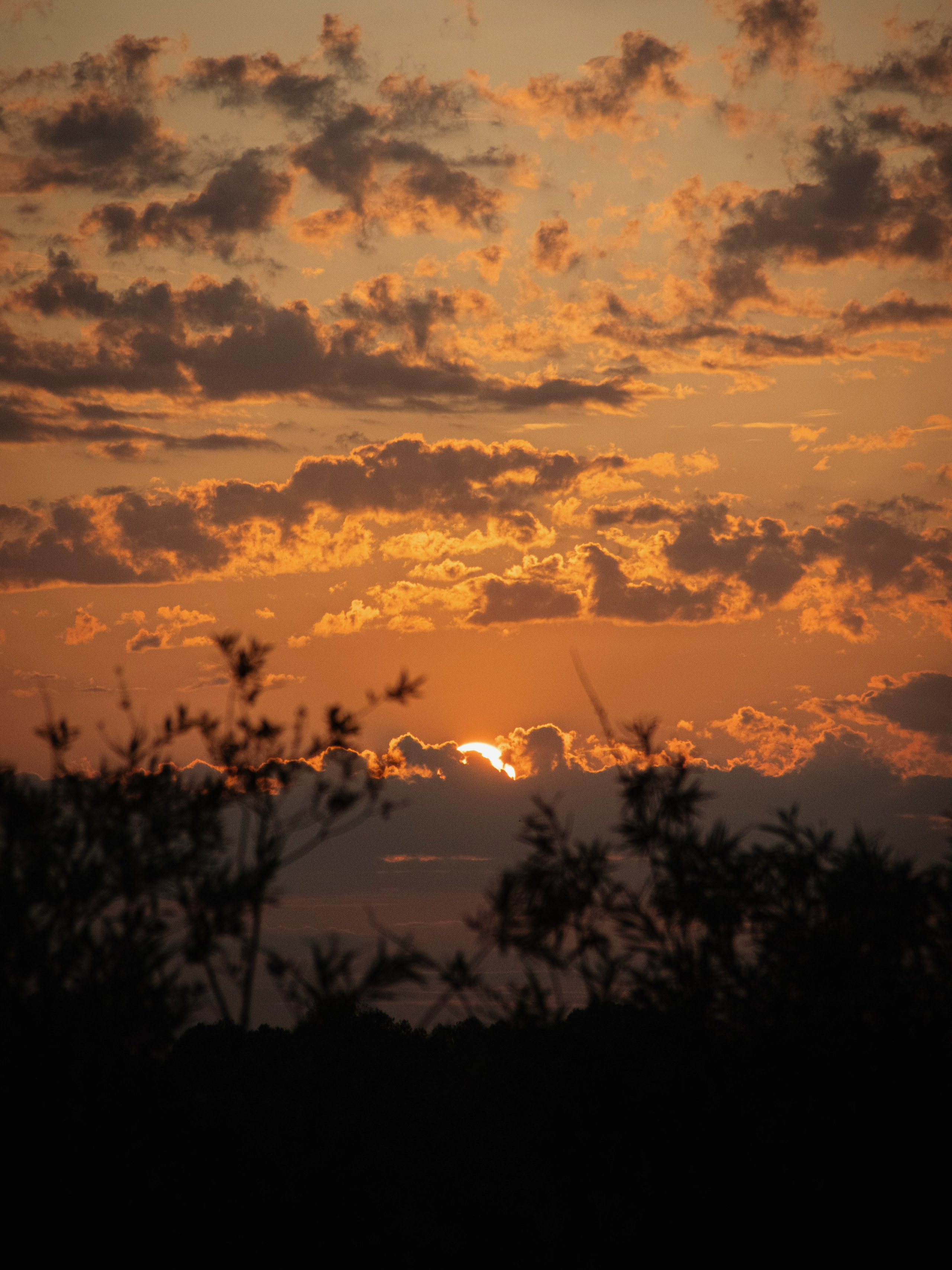 Жидкое золото. С любовью, фотохудожник