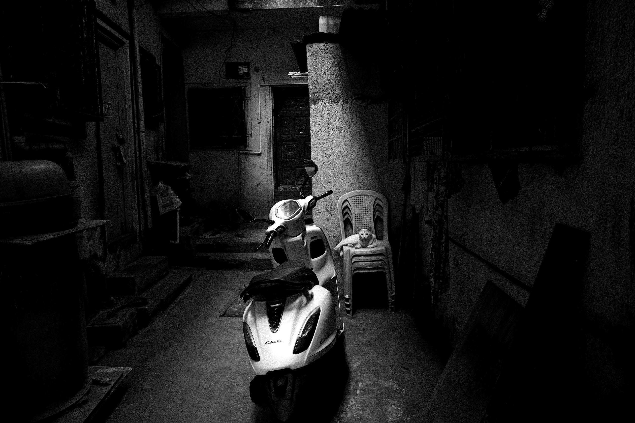 India. Фотограф в Москве