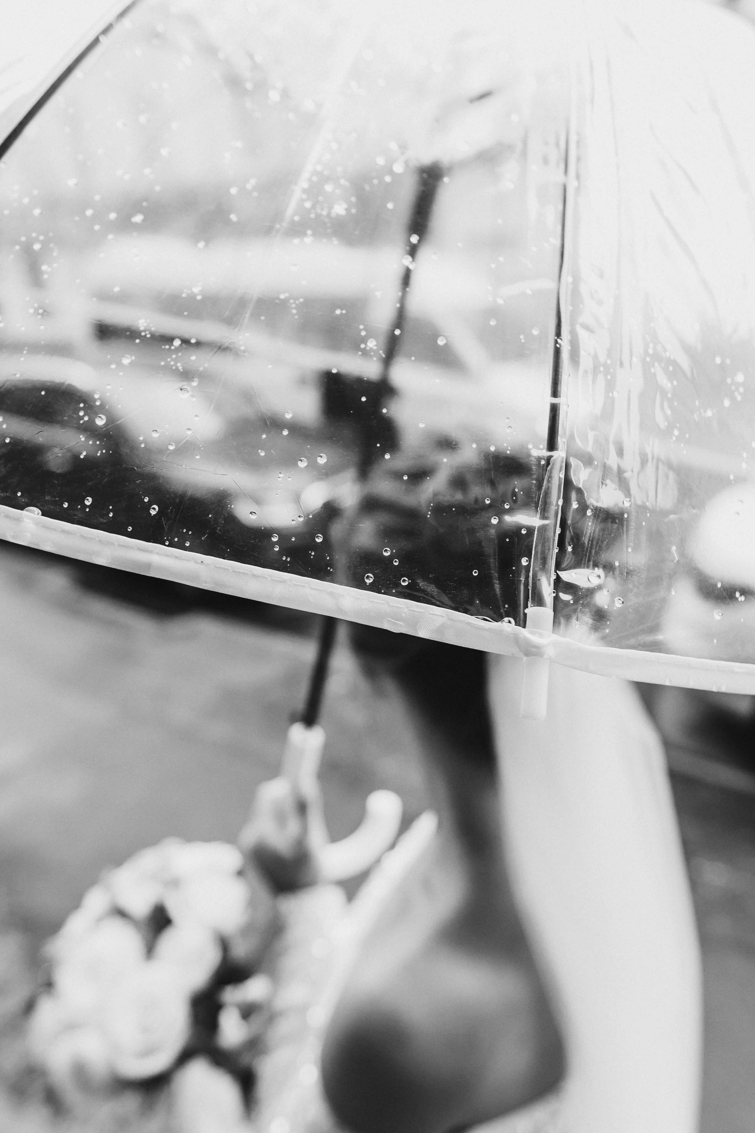 Анастасия и Максим (ЗАГС + прогулка). Фотограф в Москве Екатерина Потапова