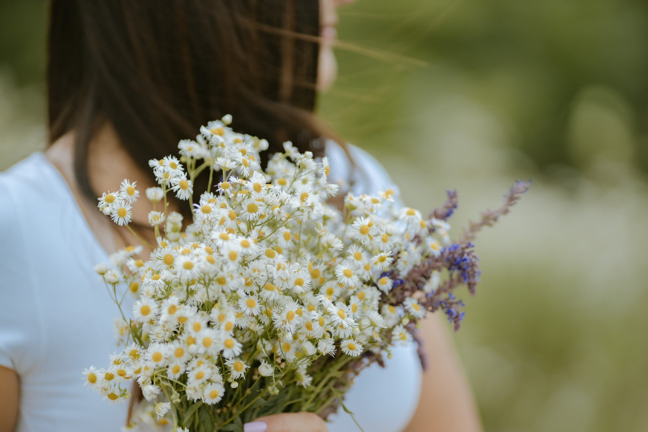 Лето. Профессиональный фотограф и видеооператор