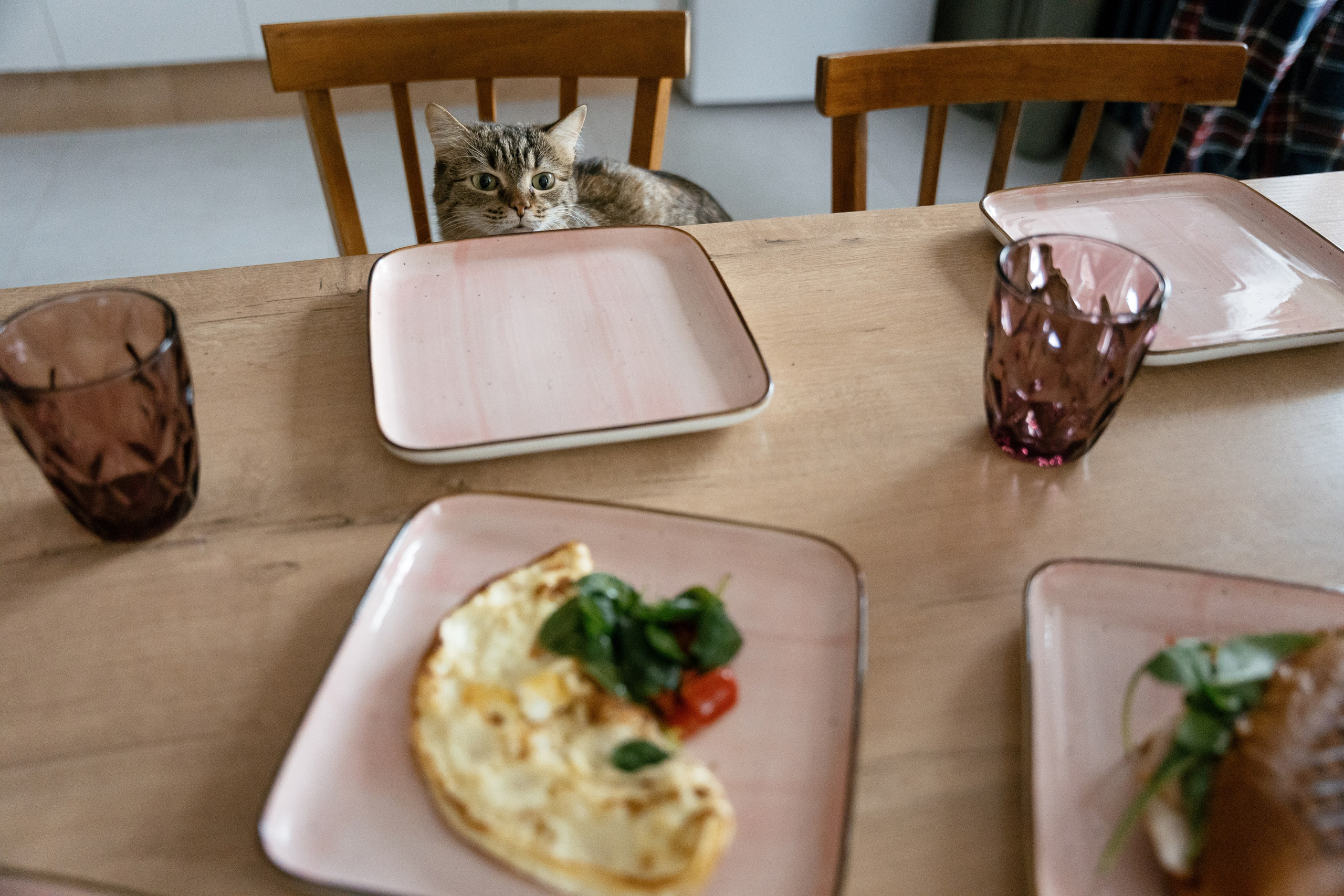 Витя и Аня. Фотограф Томск, Новосибирск Влад Свириденко