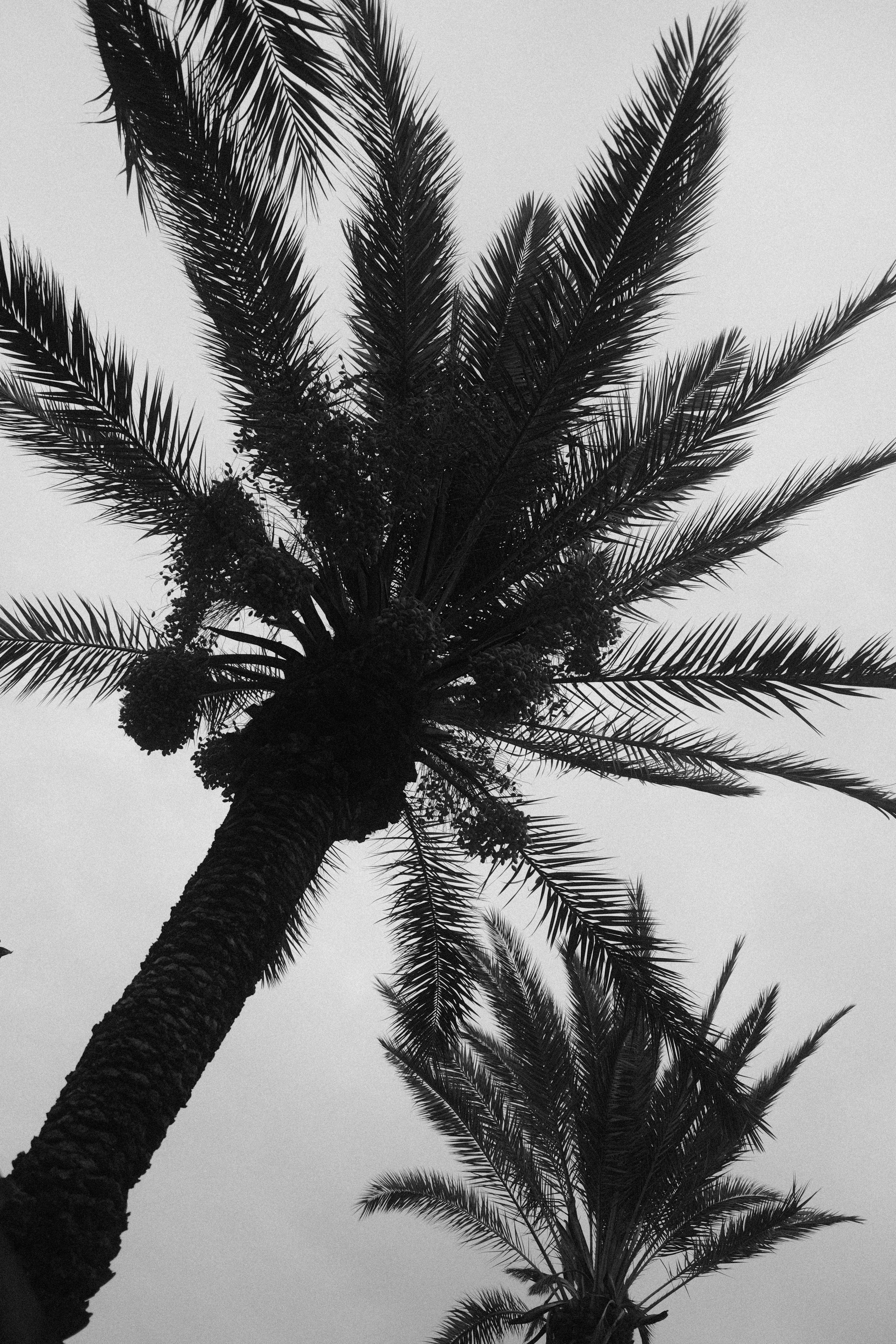 Портретный фотограф