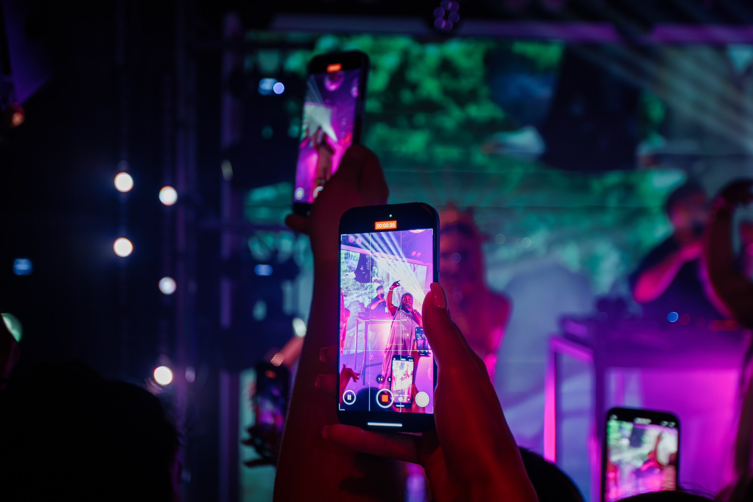 «LIZWI"_Чайка на пляже_Ялта_7.06.2025. Аминов Руслан | Фотограф