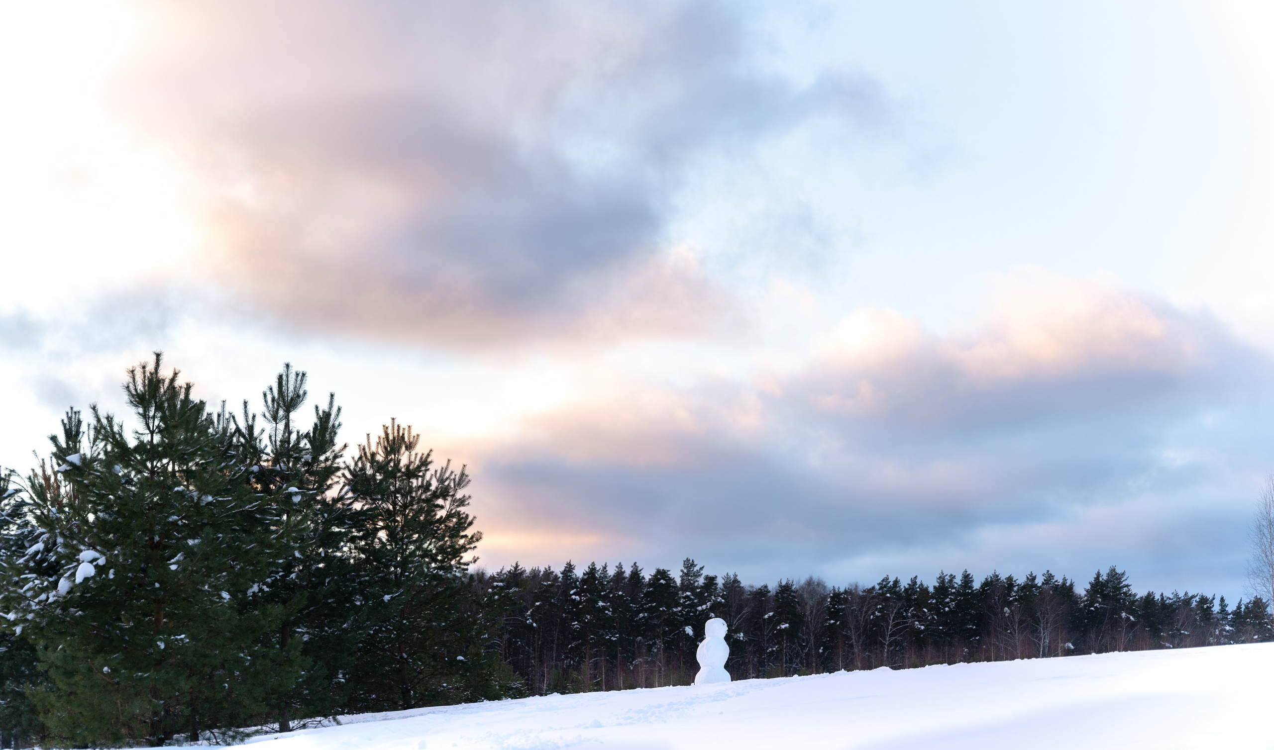 Мещерский парк. ПОБУДЬ ЗДЕСЬ И ЦЕЛЕЕ БУДЕТ ЭТОТ МИР