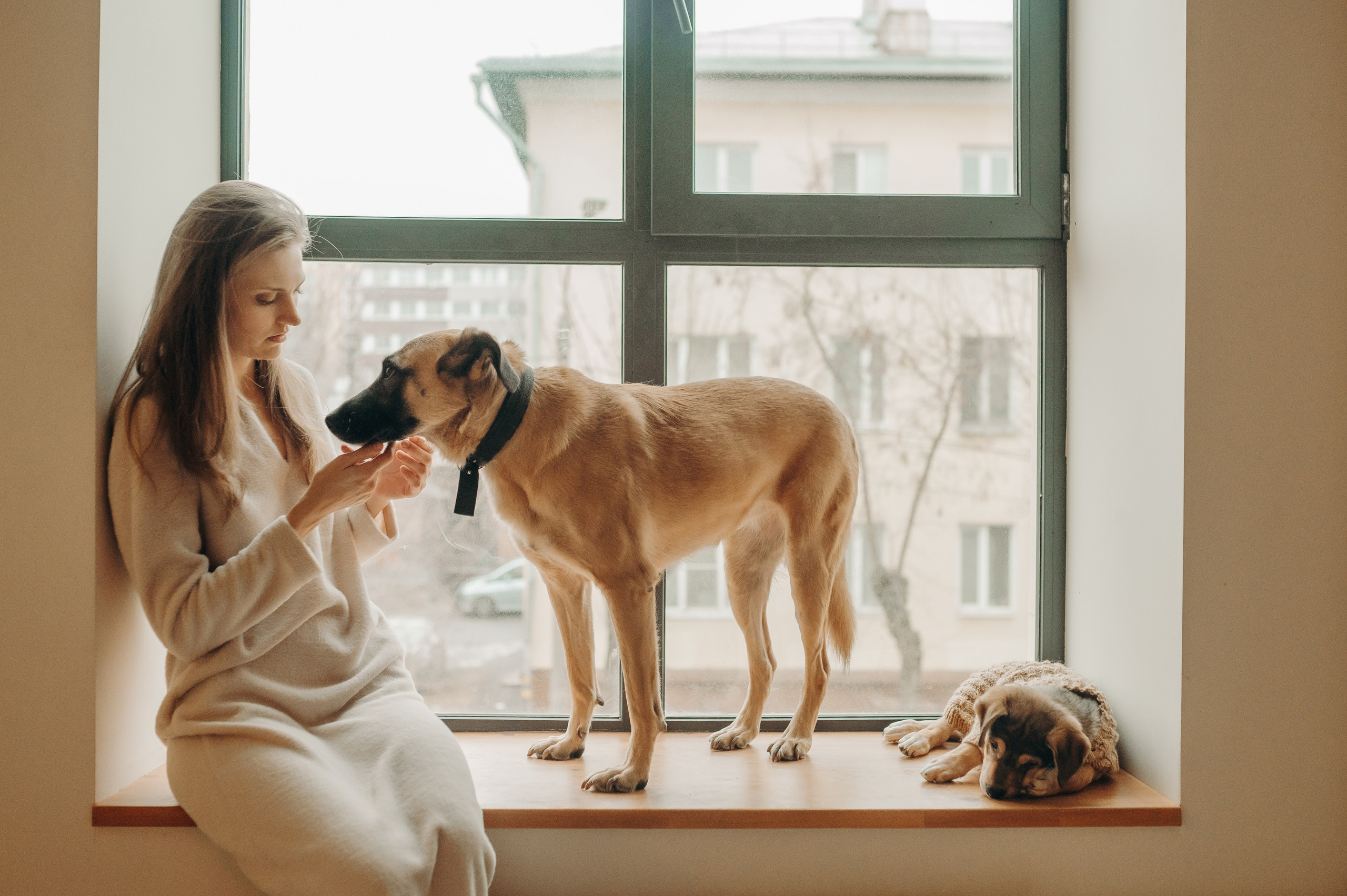 Анималистика. Главная