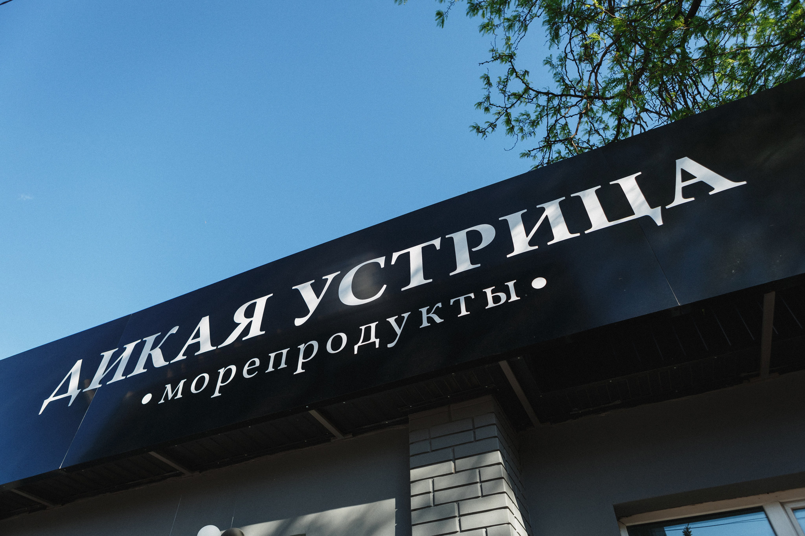 Открытие Сети Магазинов морепродуктов 'Дикая Устрица' в Таганроге. Свадебный и семейный фотограф в Таганроге Бакарюк Антон