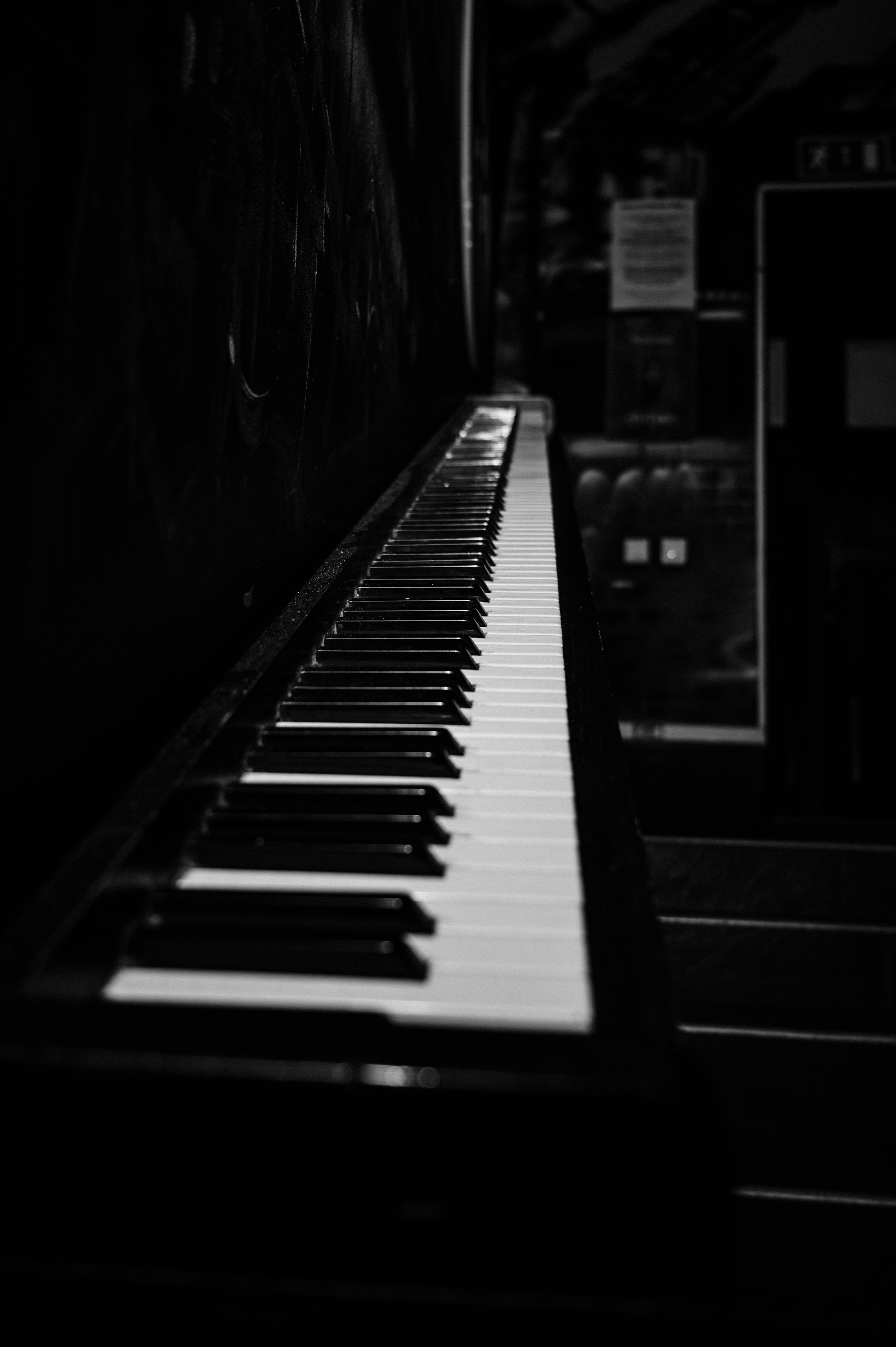 Репортажный фотограф на корпоратив и другие мероприятия. Свадебный и семейный фотограф в Краснодаре Марина Стёпа