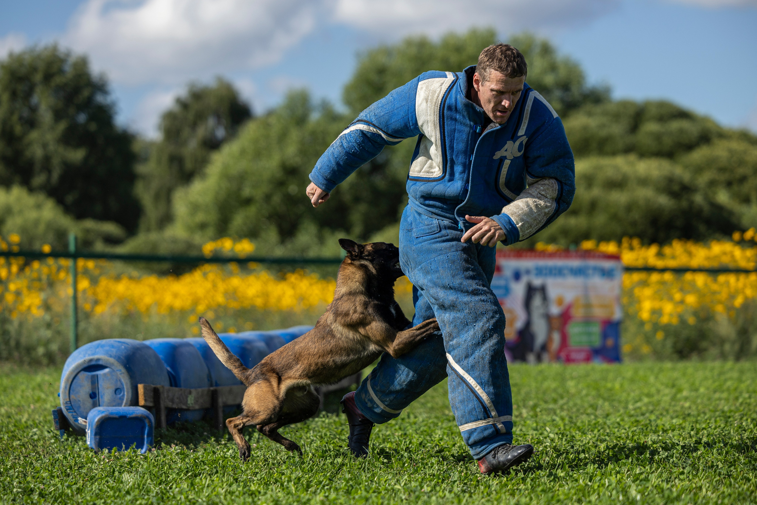 Соревнования по Мондьорингу г. Вологда 10-11.08.2024. Фотограф-анималист Анна Маринич