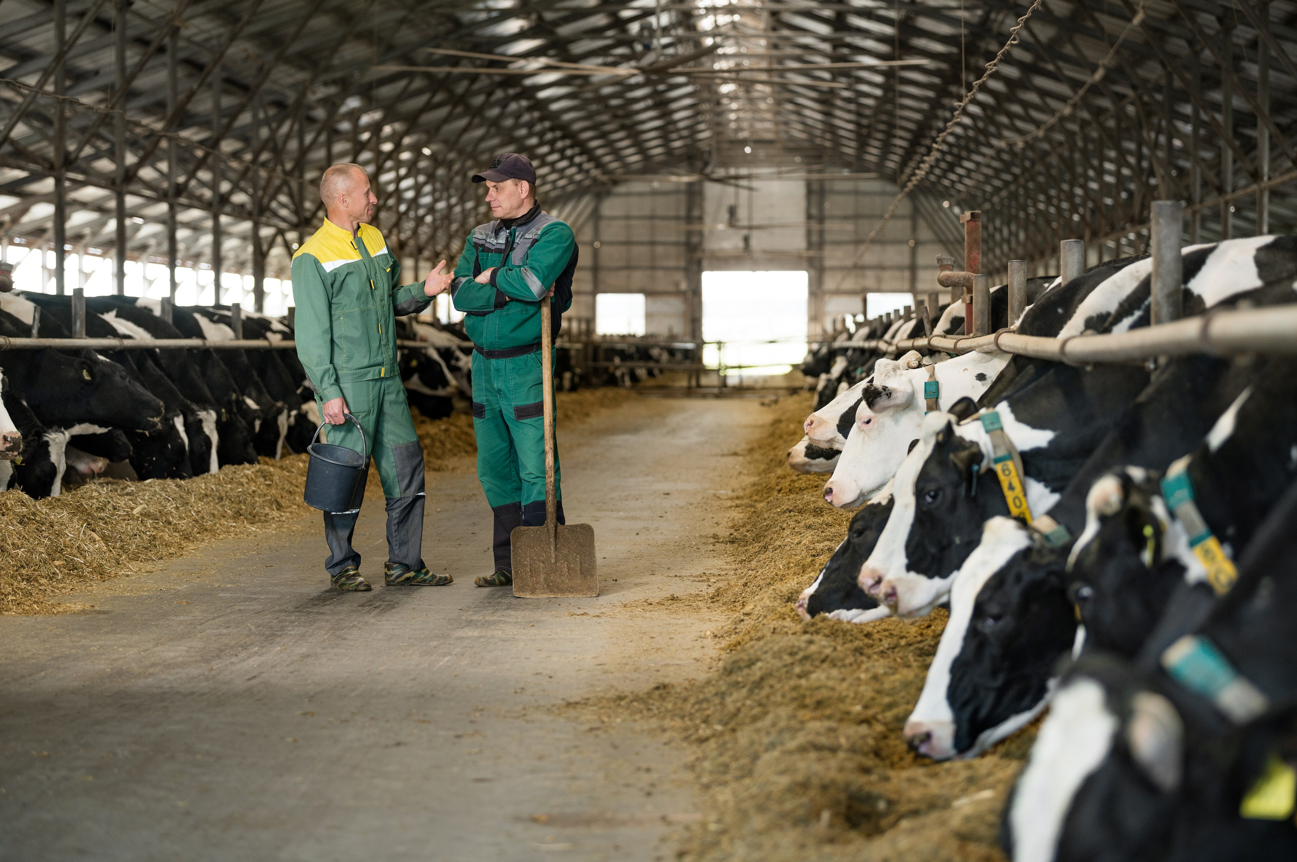 Проекты. Профессиональный фотограф Вячеслав Плацында | Липецк |