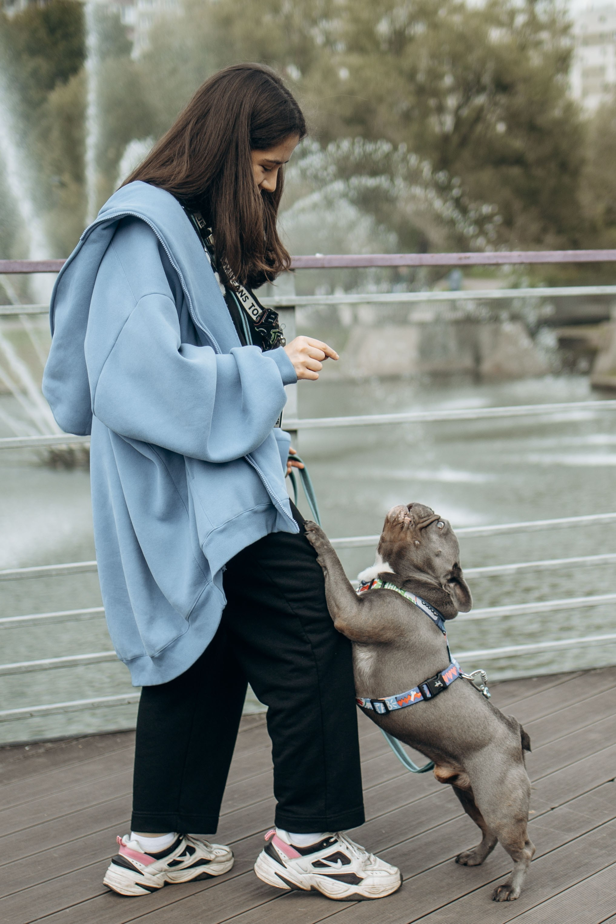 Грей и его семья