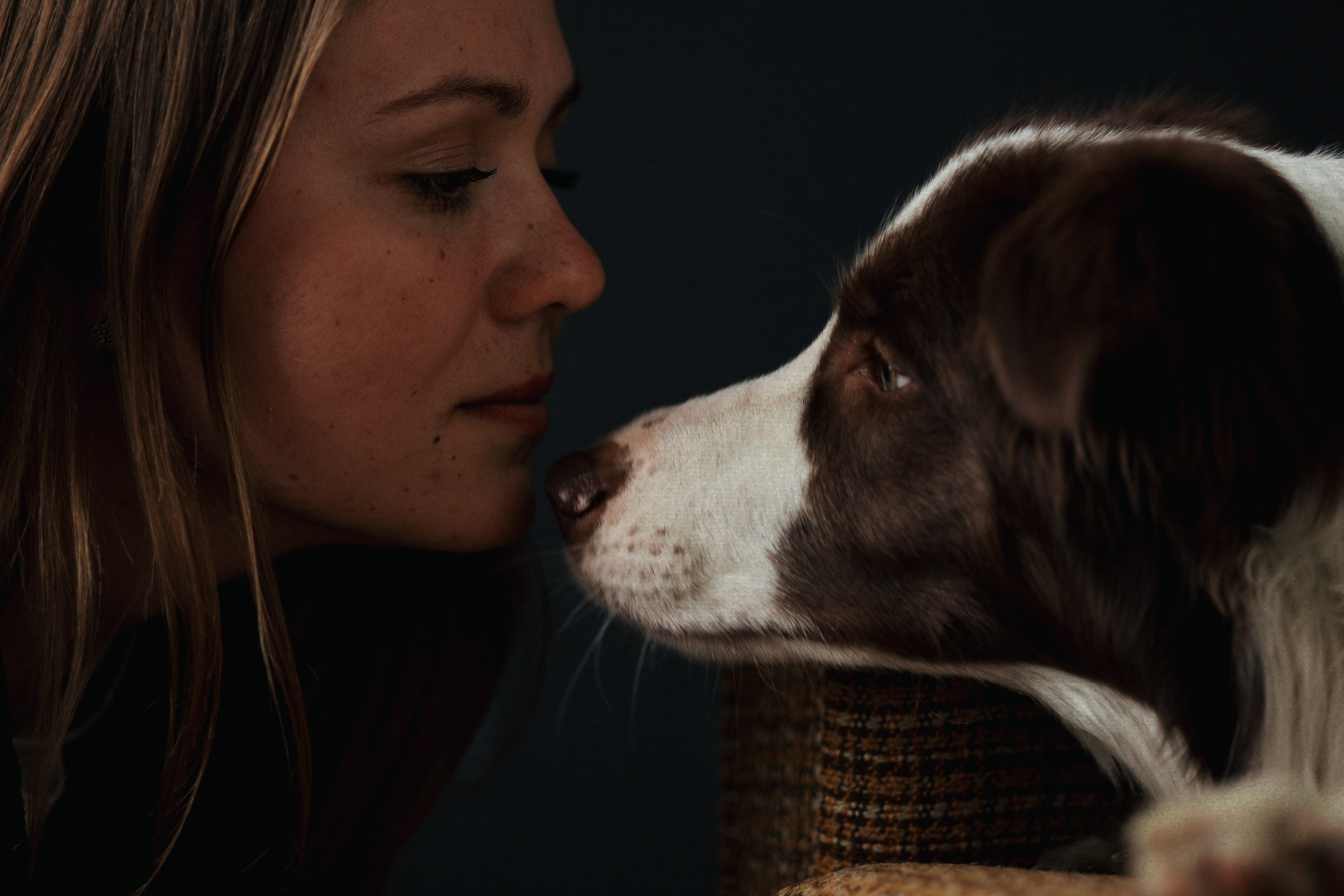 Настя и Симба. Фотограф — Анималист | Санкт-Петербург