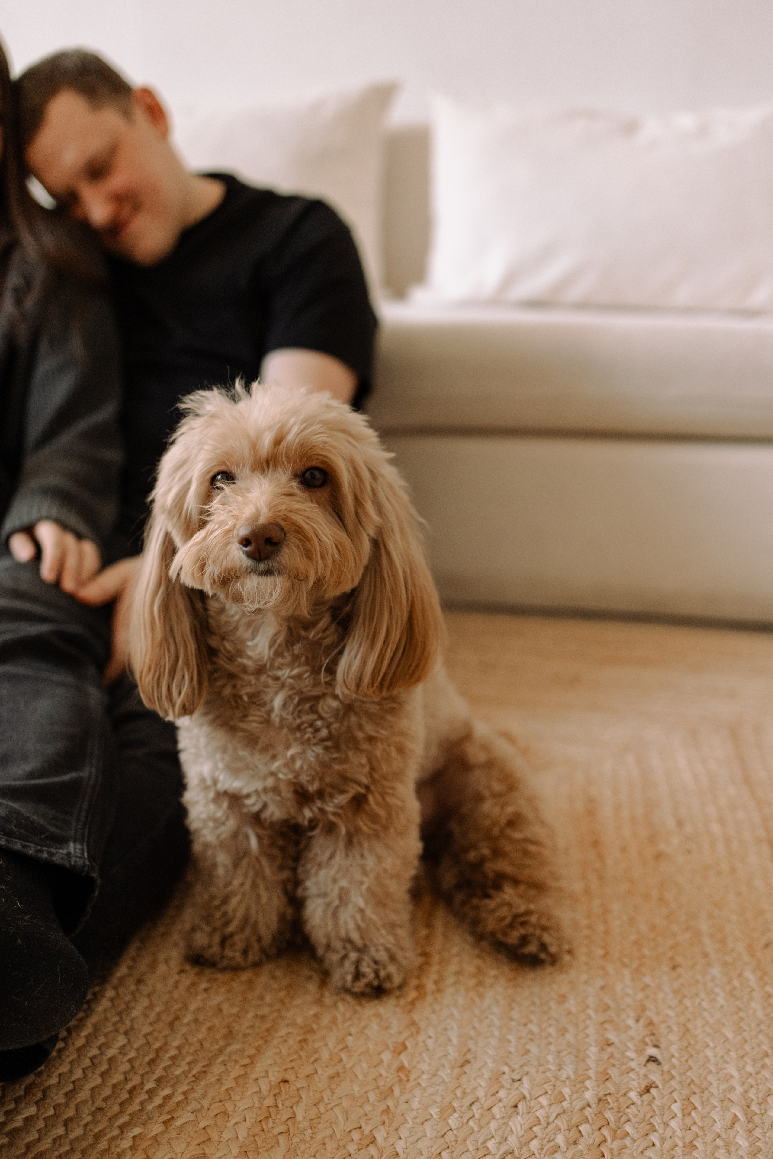 Шкипер и его семья. Фотограф — Анималист | Санкт-Петербург