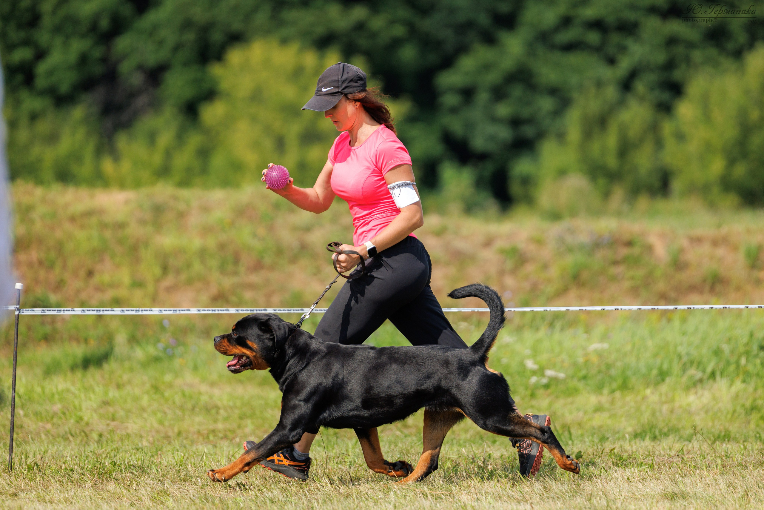 Рязань 2хмоно ротвейлеры 16-17.08.2025. Фотограф-анималист Юлия Германика