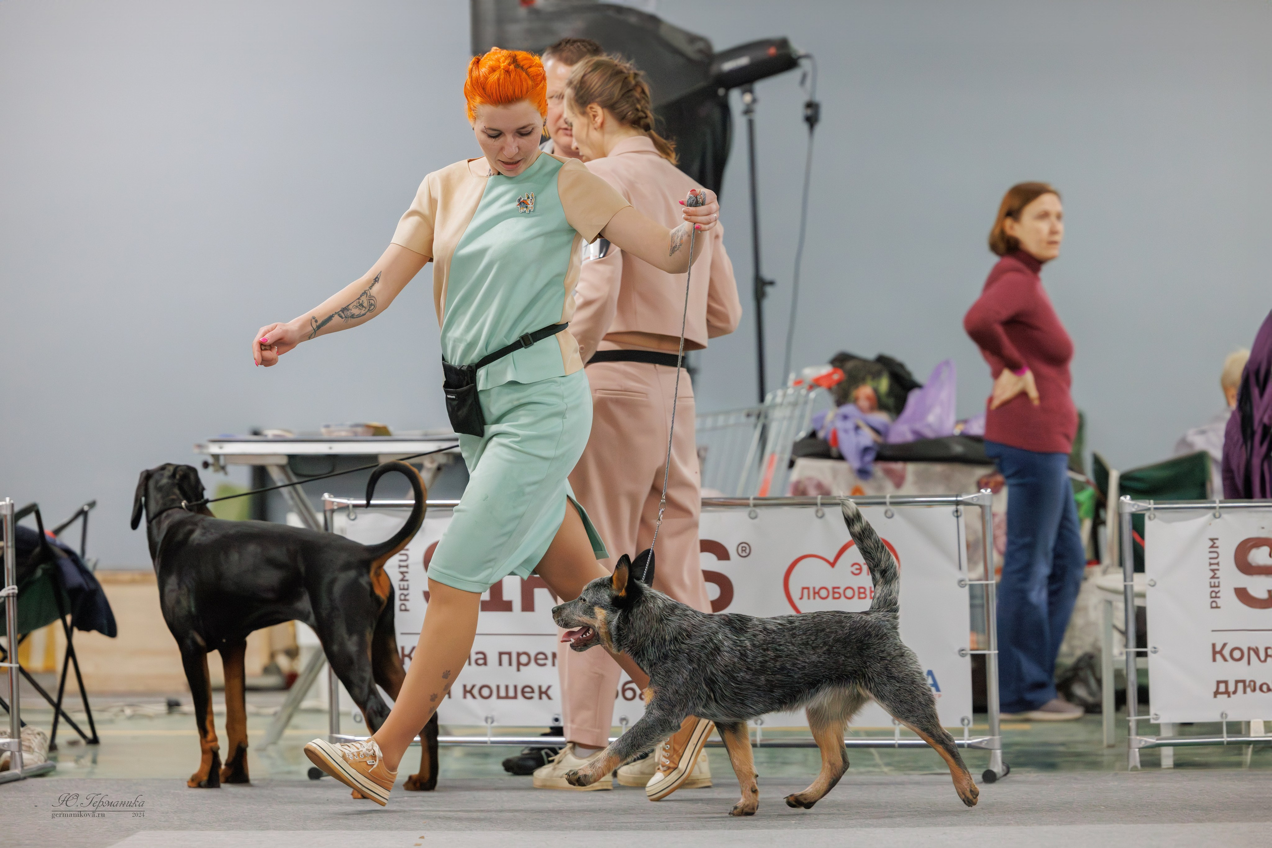 Сфера и Крокус 8,9,16 и 30.03.2025. Фотограф-анималист Юлия Германика