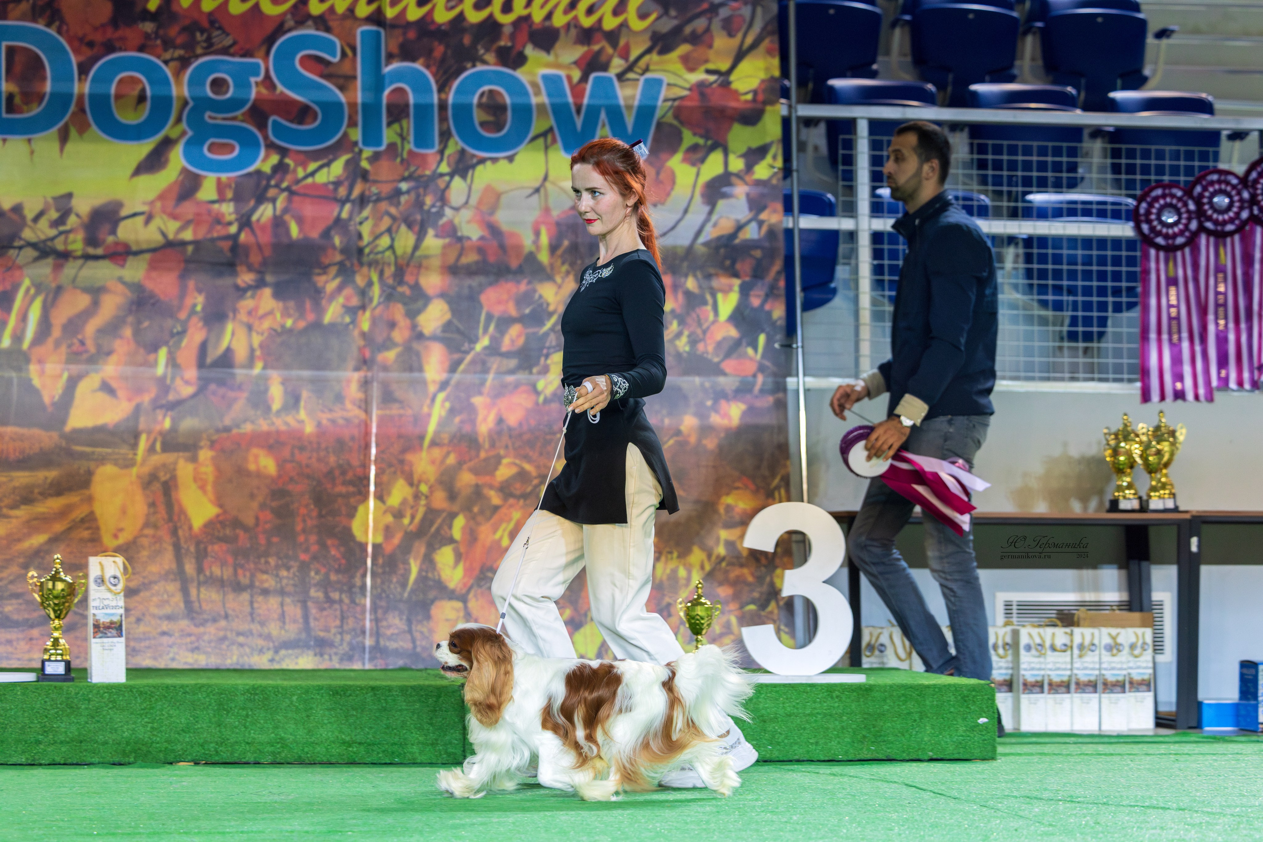 Грузия,Телави 2хCACIB 19-20.10.2024. Фотограф-анималист Юлия Германика