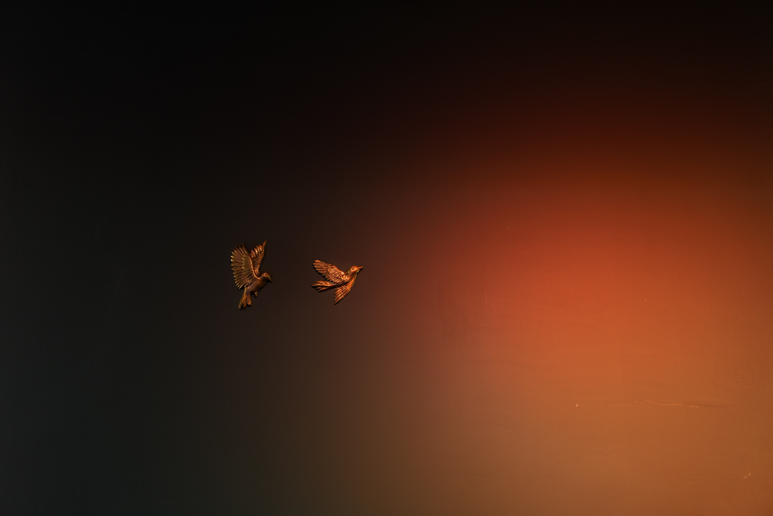 Semyon Borisov — Reportage. Репортажный фотограф Семён Борисов | Москва