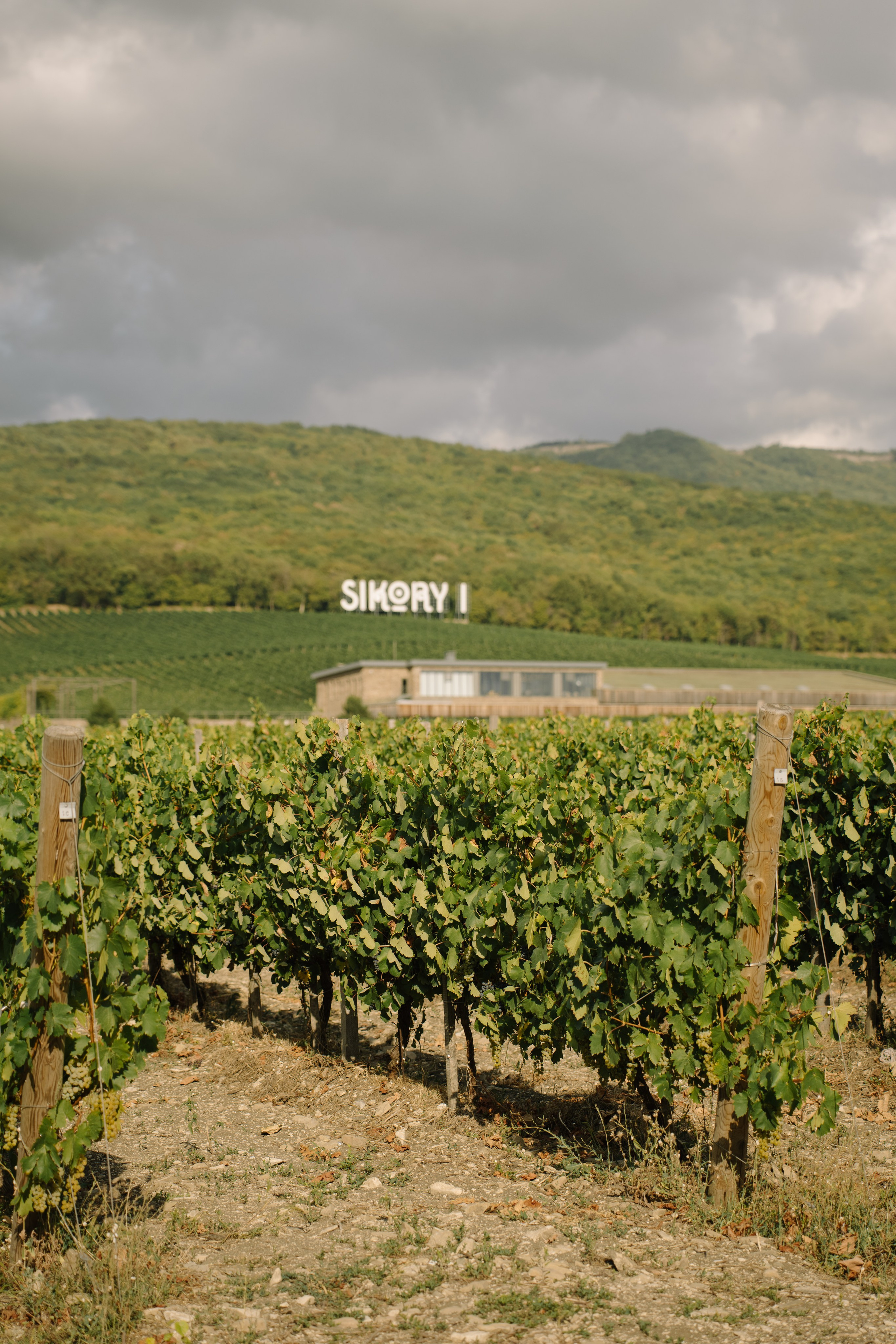 Любовь без границ