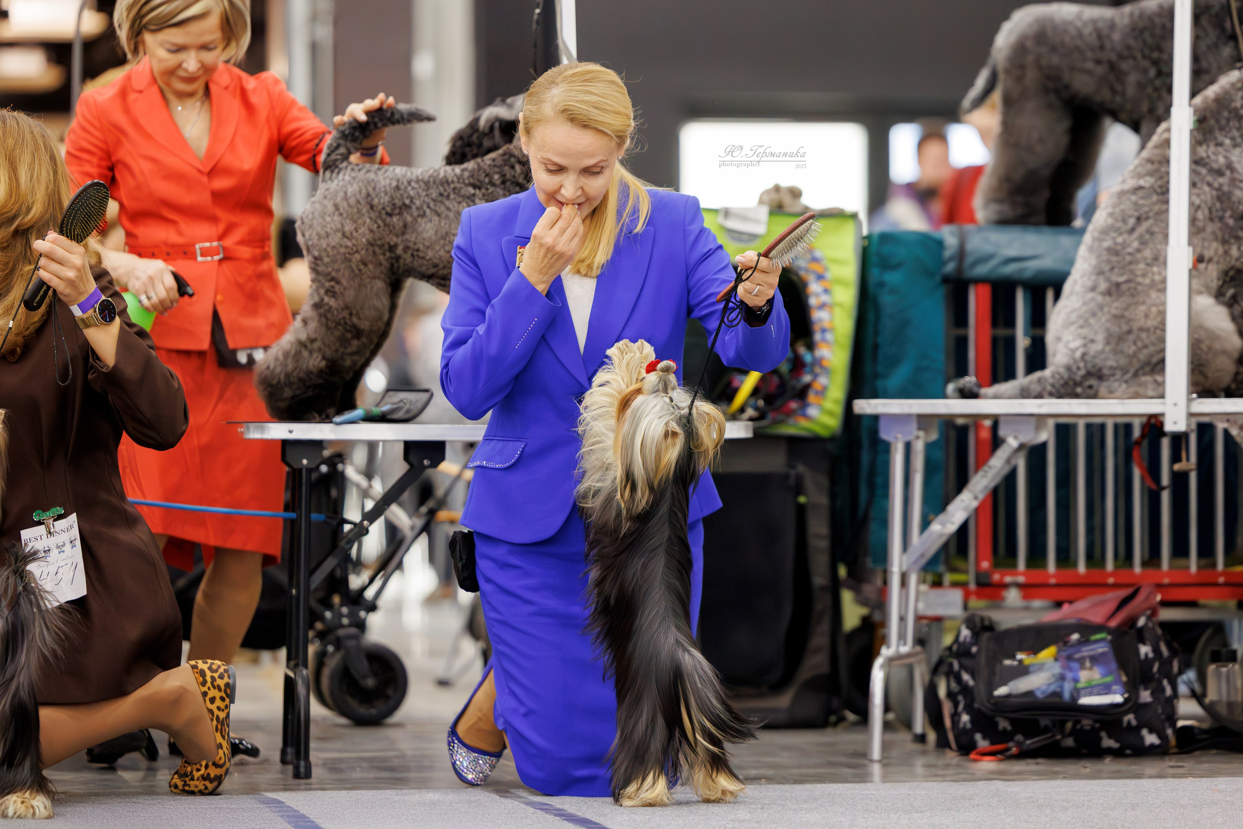 Питер 12-13.12.2025. Фотограф-анималист Юлия Германика