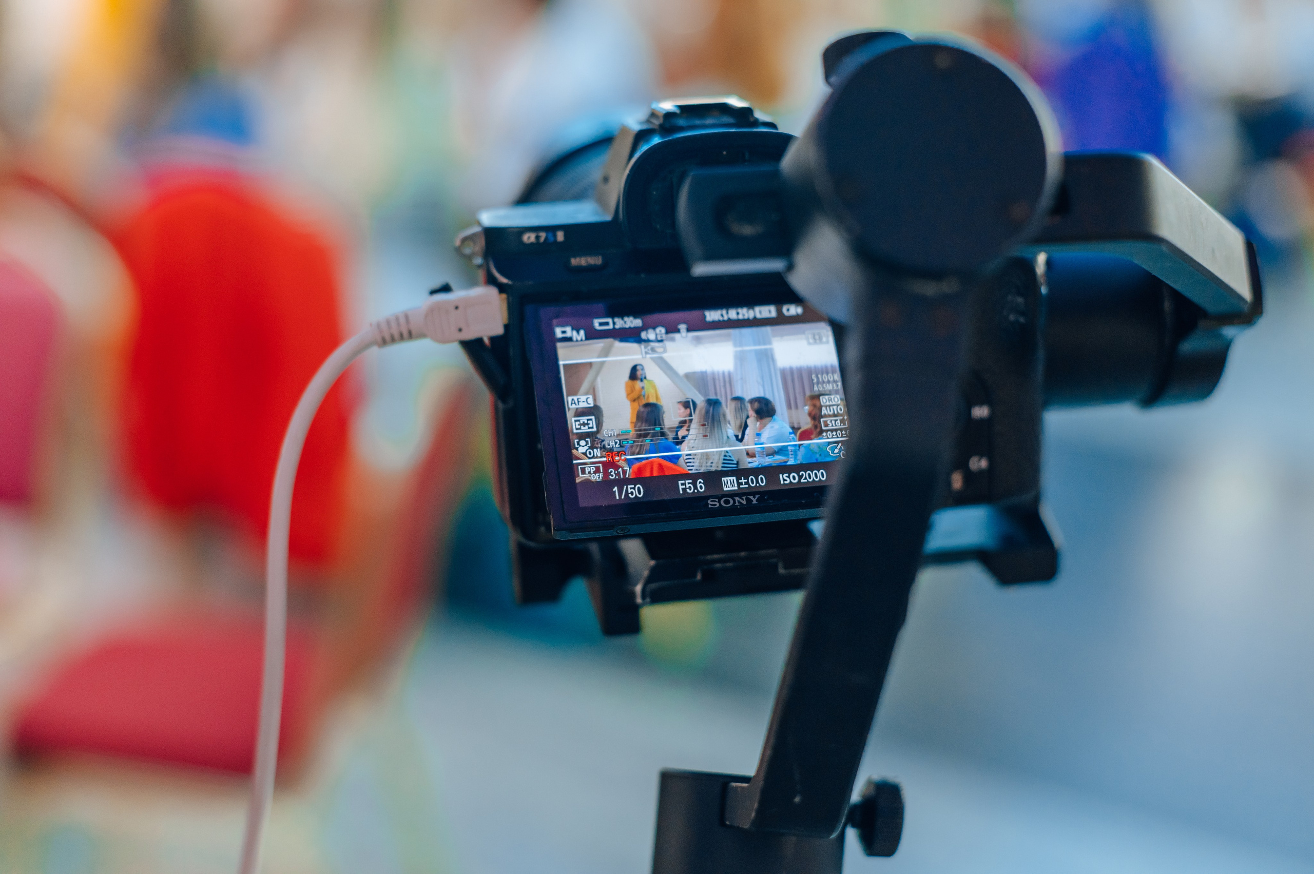 НЕТВОРКИНГ «ЧАЙКА». Детский и семейный фотограф Катерина Мишина