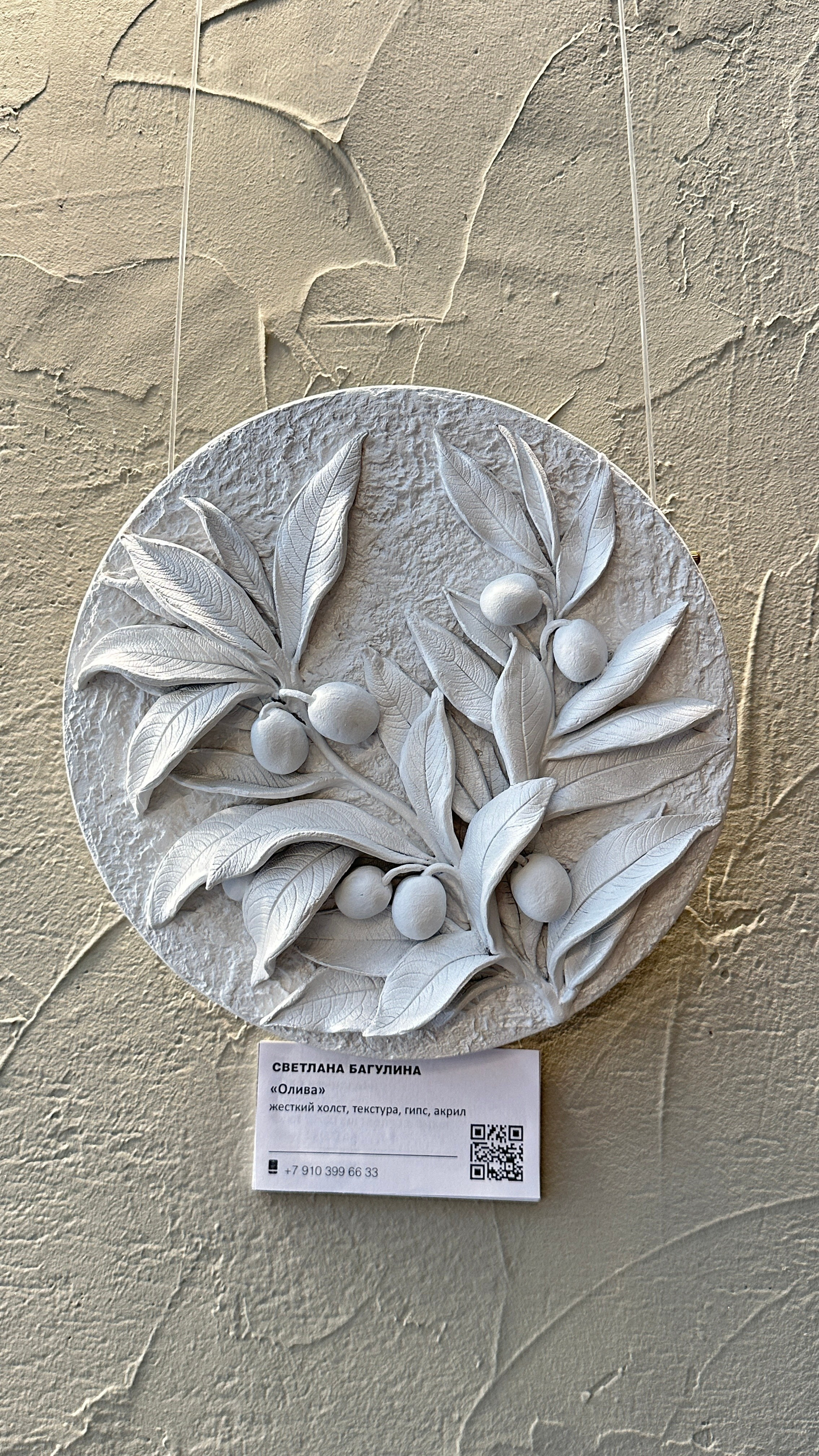 ветка оливы