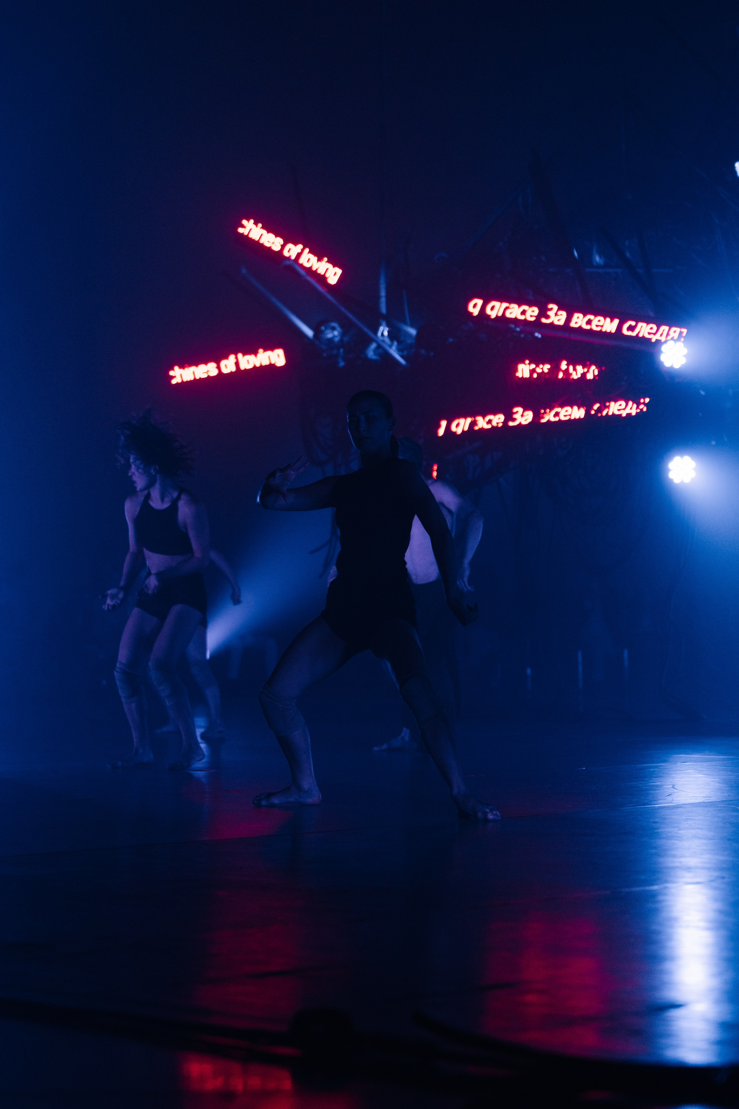 PERFORMA, The Hour of the Horse. @tomrus: Рустам Шагиморданов — фотограф