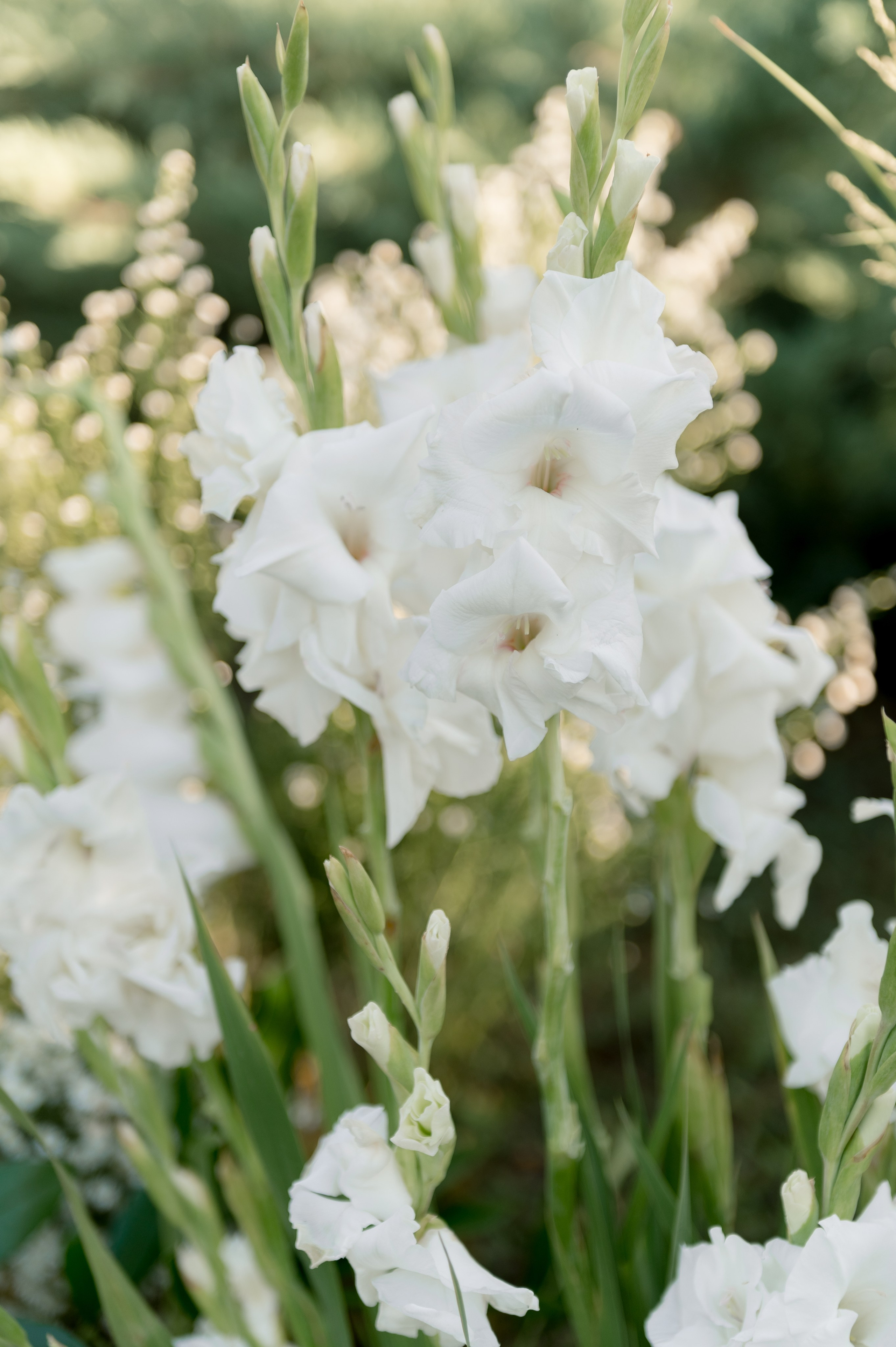 Павел и Алина. Главная