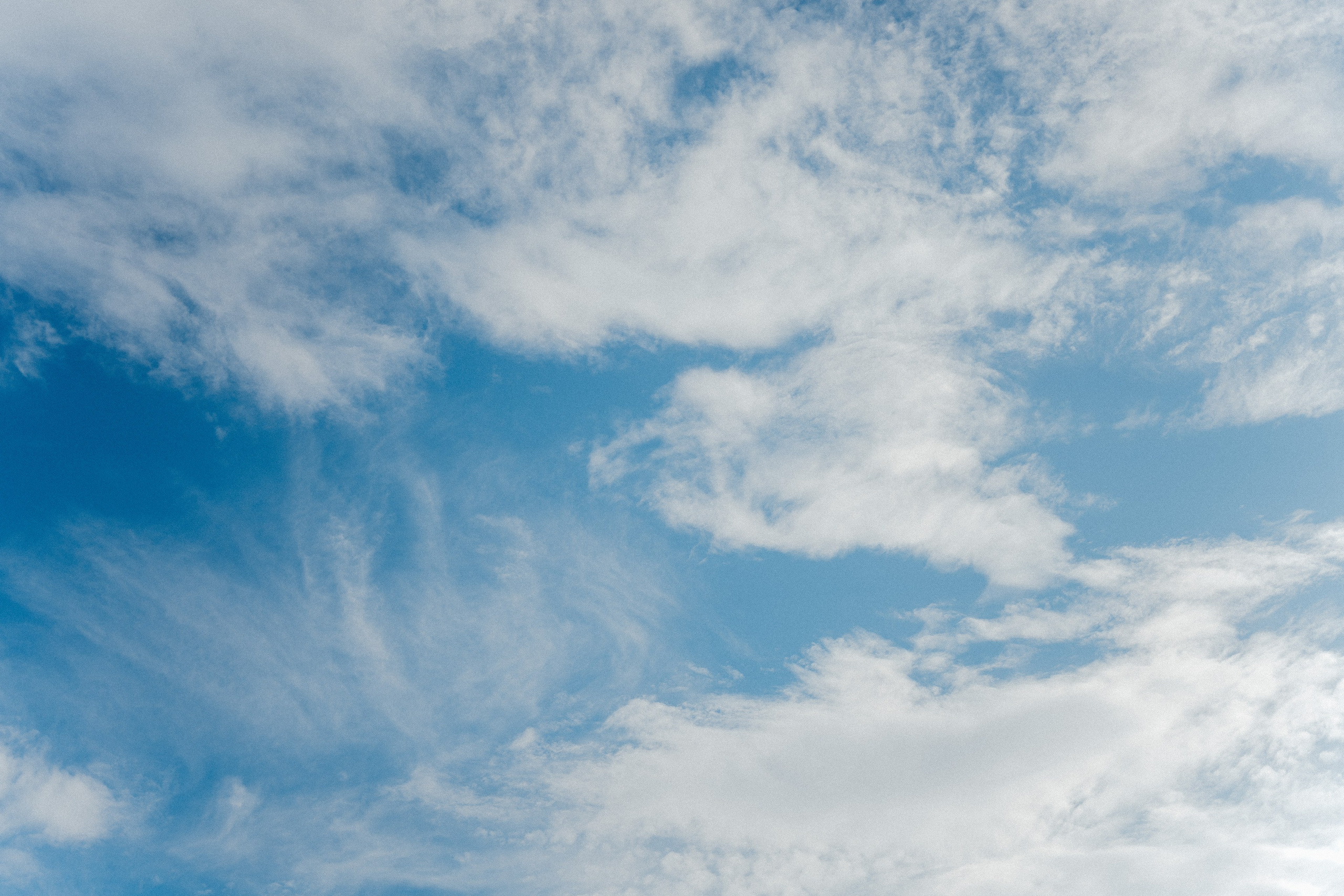 АНАСТАСИЯ | 2025