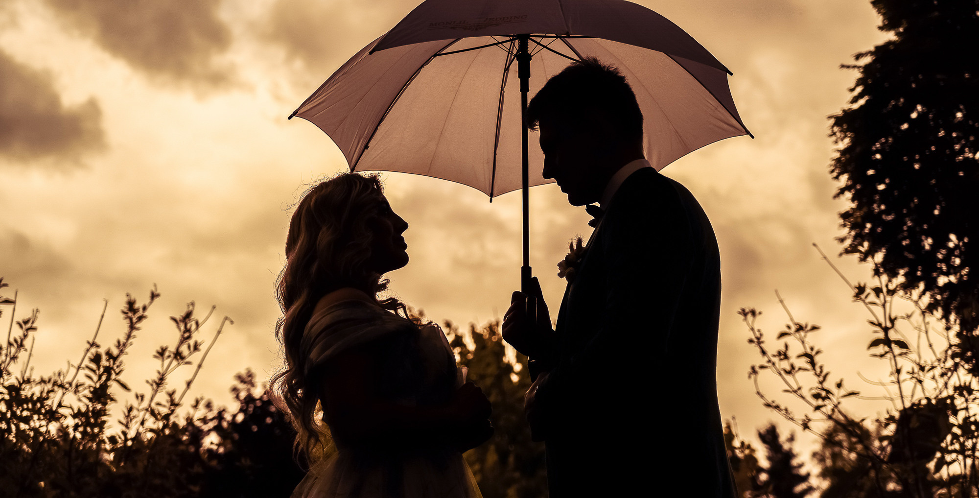 Иван и Марина. Видеооператор/Фотограф Николай Завьялов