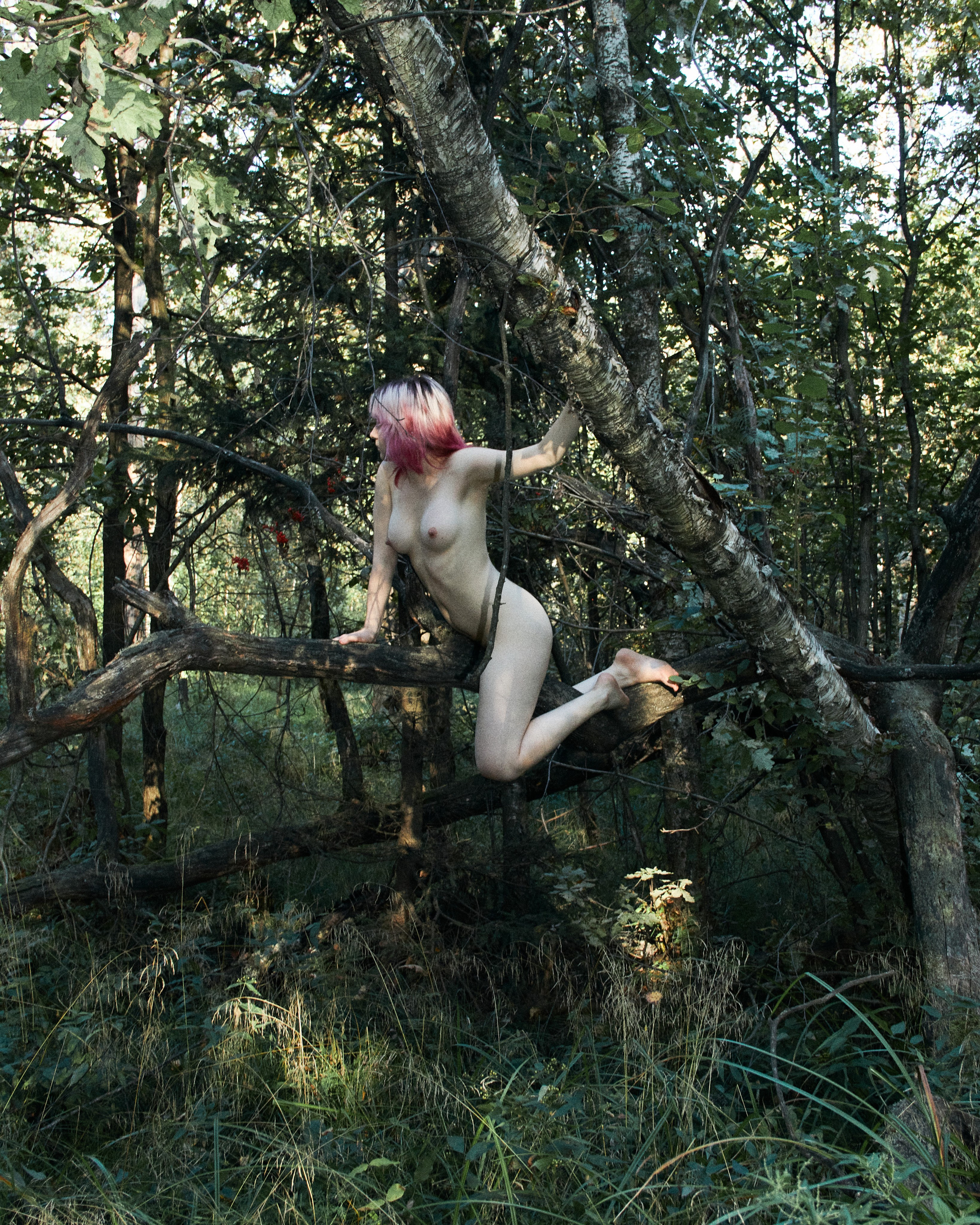 ALENA. Andrew Valmus