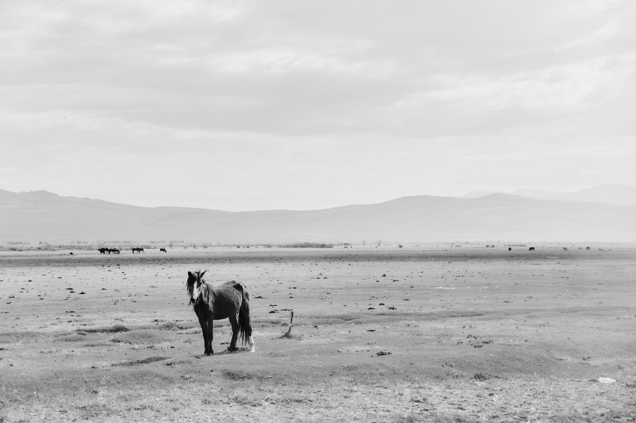 BAON x ALTAY. Фотограф Сурков Никита