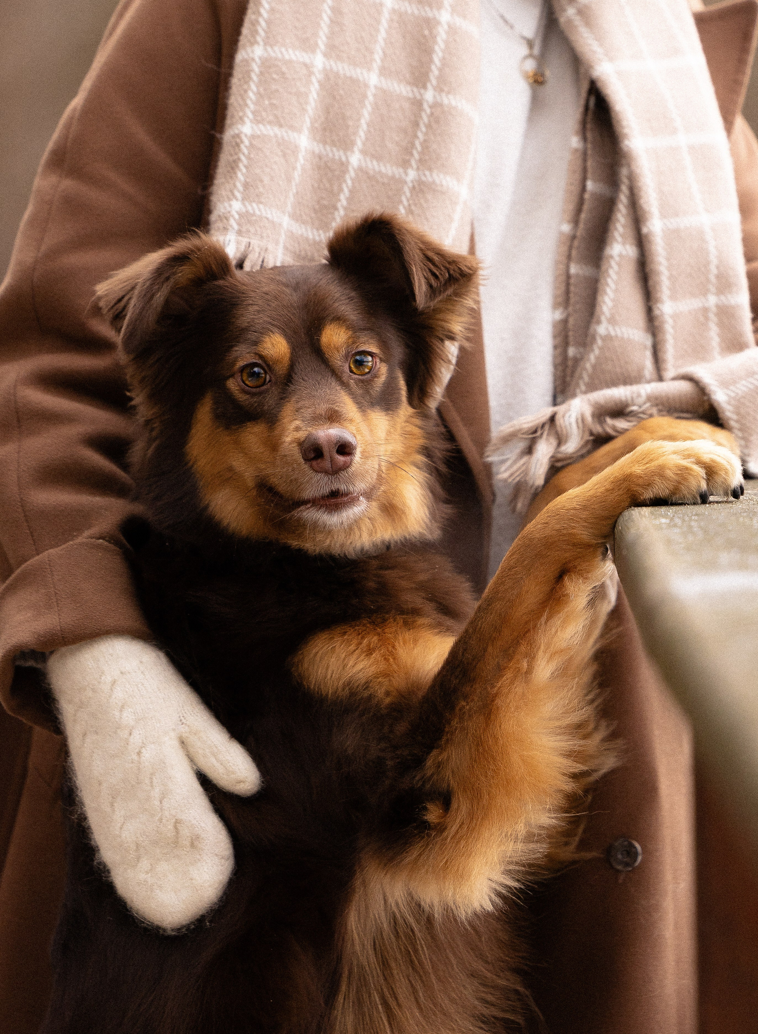 Катя и Мёд. Фотограф и видеограф анималист Аганина Дарья