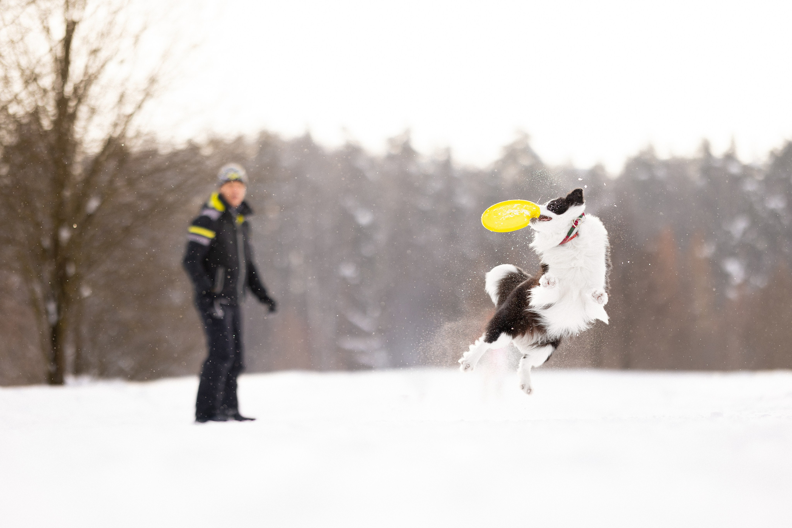 Лилия, Алексей и Ариана. Фотограф и видеограф анималист Аганина Дарья