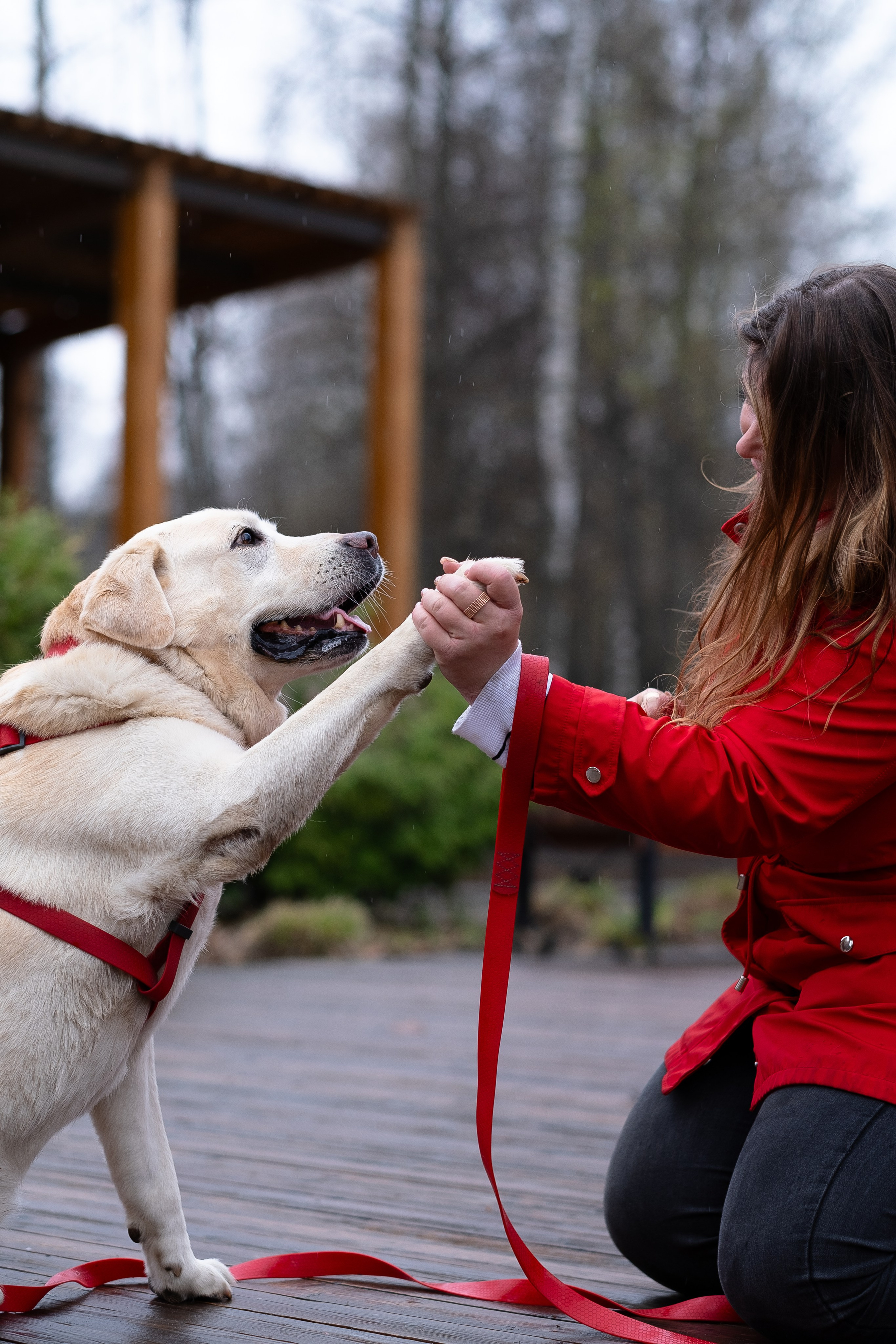 Света и Лето. Фотограф и видеограф анималист Аганина Дарья