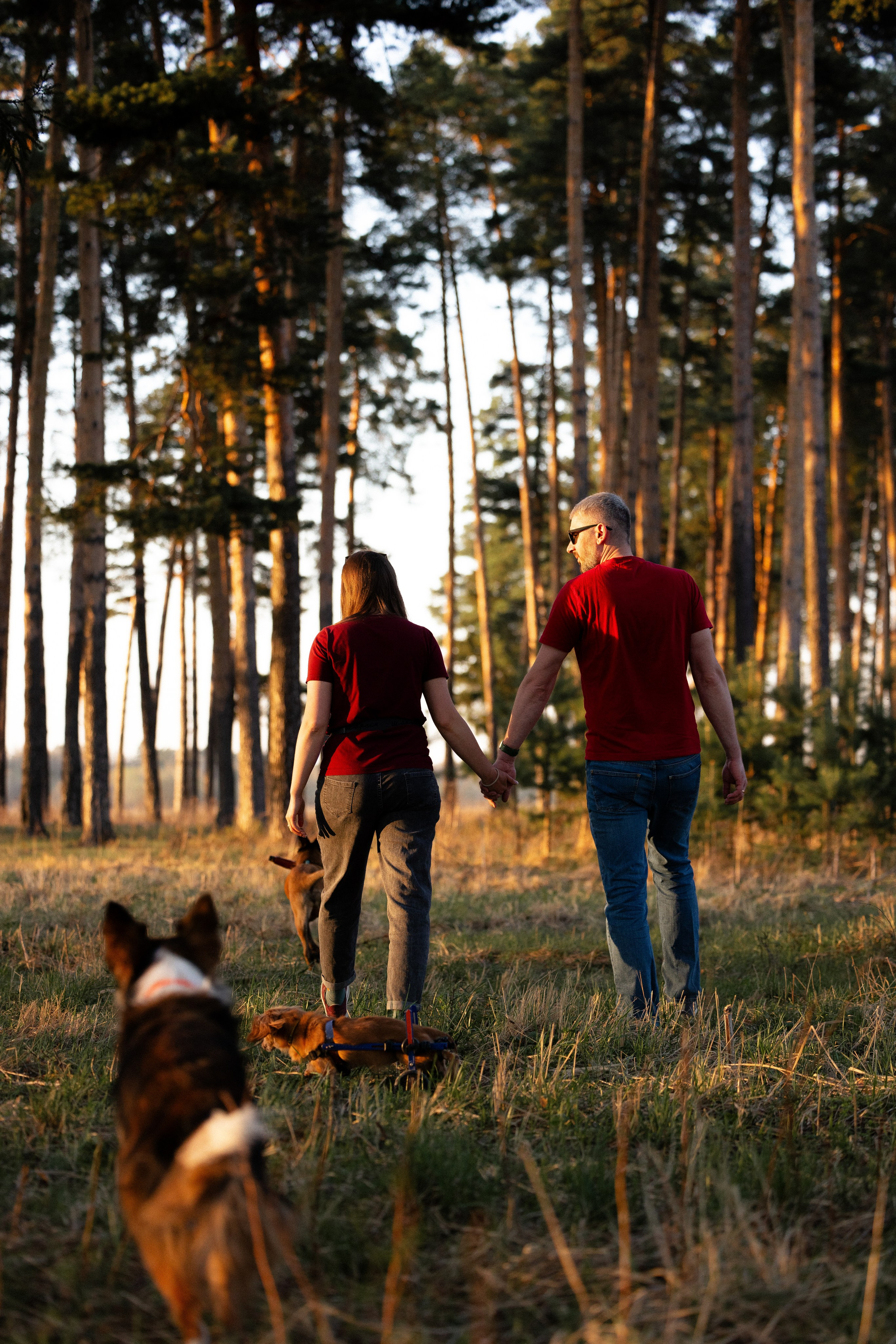 Разношерстная компания. Фотограф и видеограф анималист Аганина Дарья