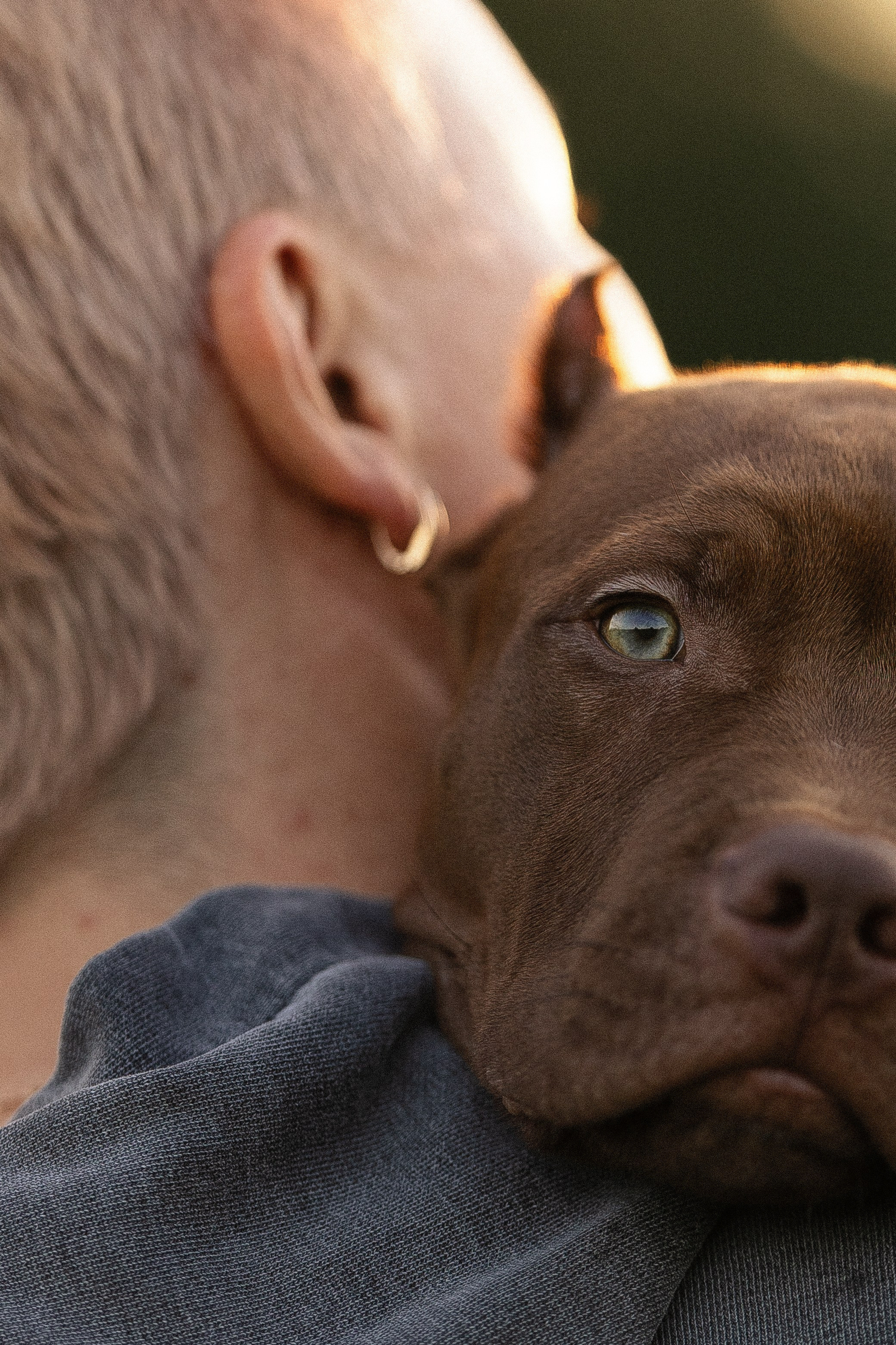 Елена и Хан. Фотограф и видеограф анималист Аганина Дарья