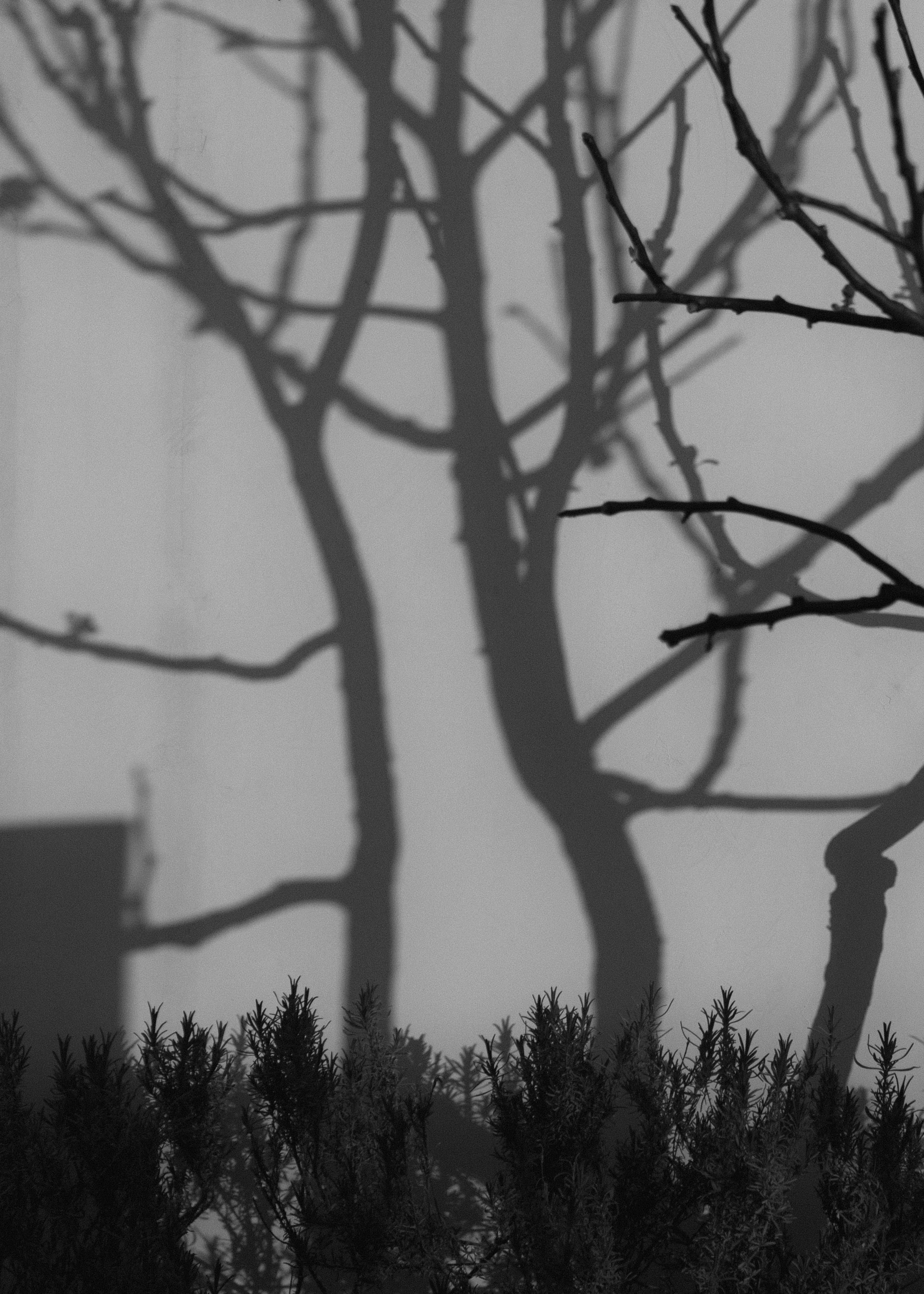 Amore nella villa | свадьба на загородной вилле. Свадебный и семейный фотограф в Анапе/Новороссийске Виктория Чайка