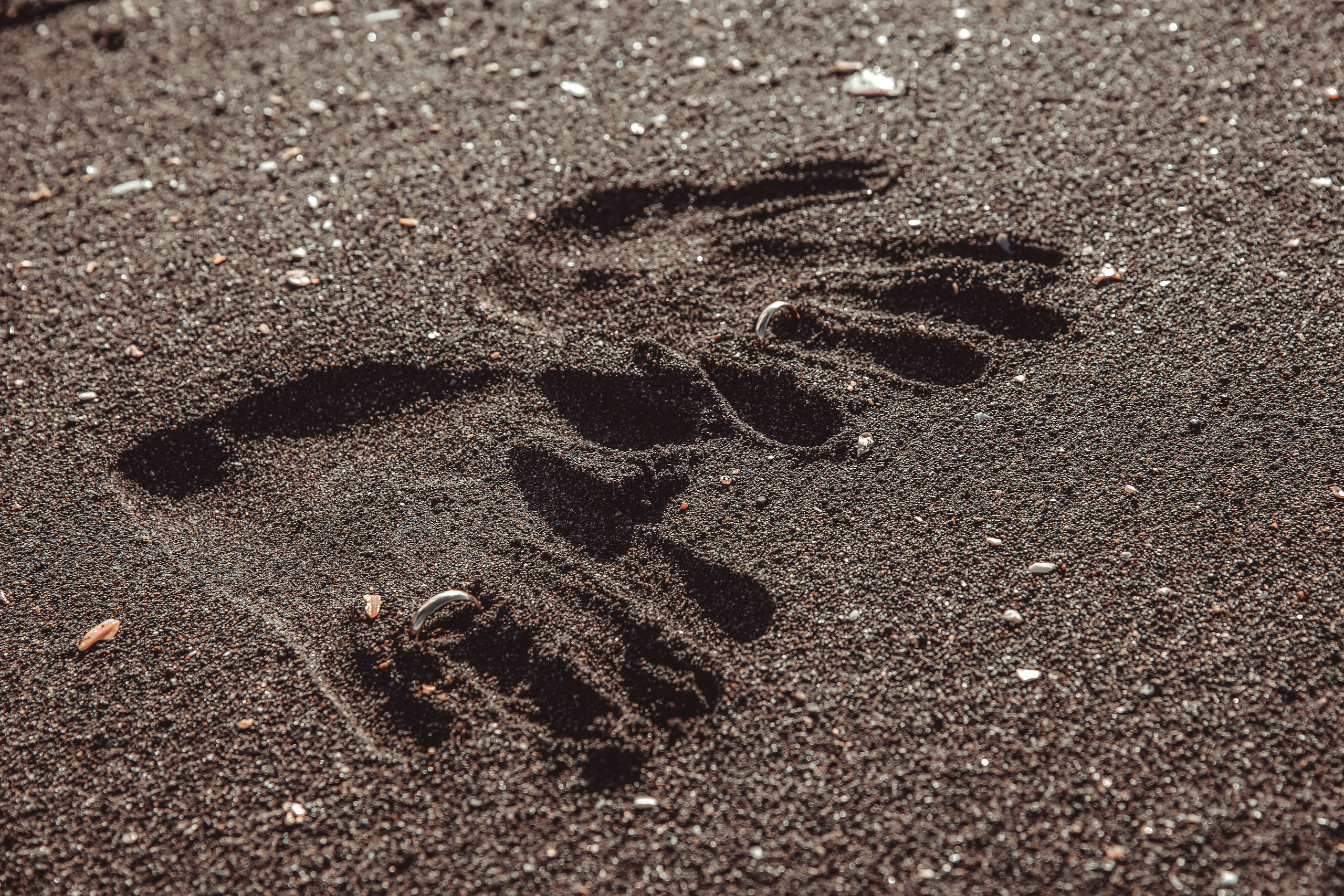 Свадебный день. Фотограф Камчатка