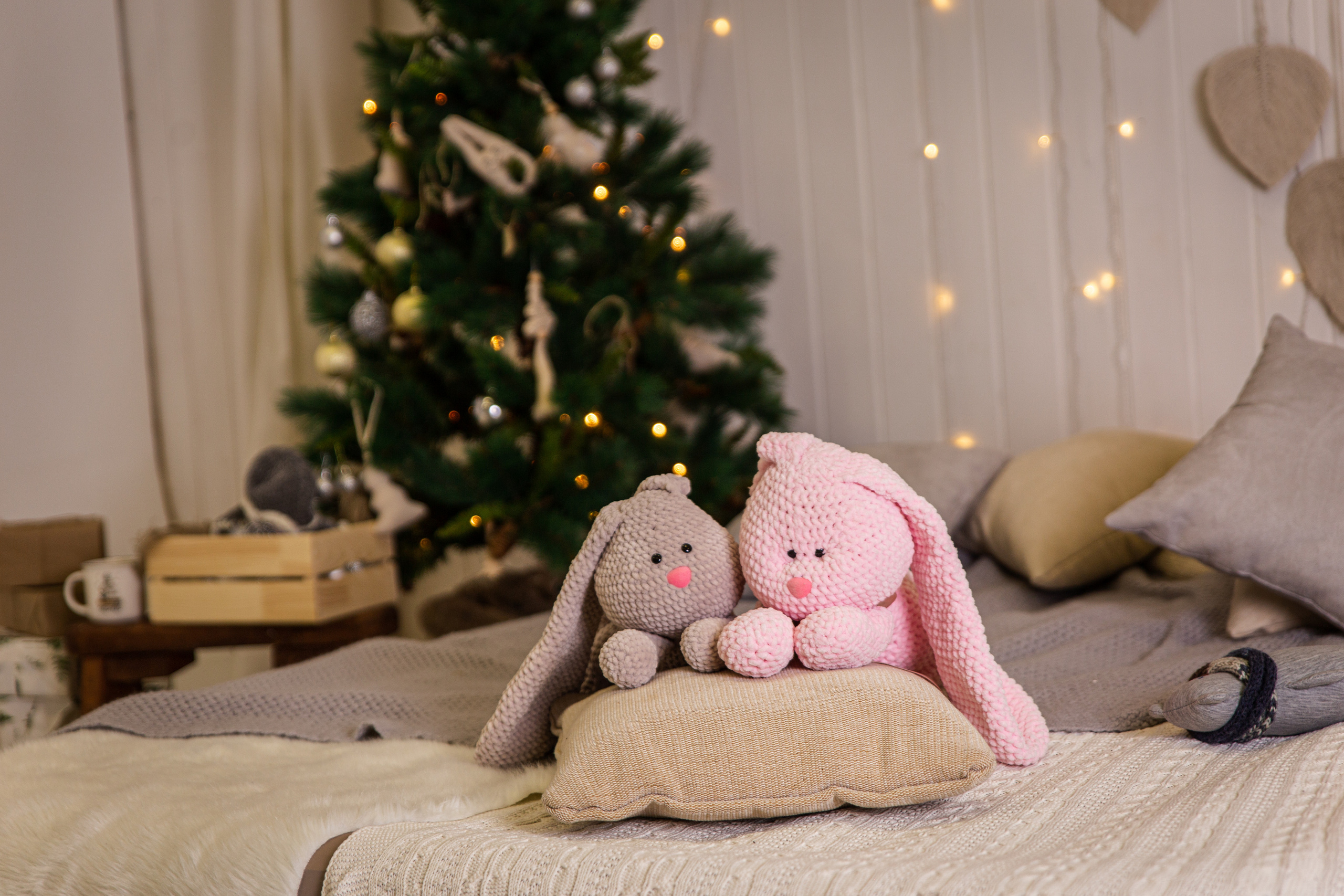 Фотосессия на циклораме или белом фоне. Фотограф Камчатка