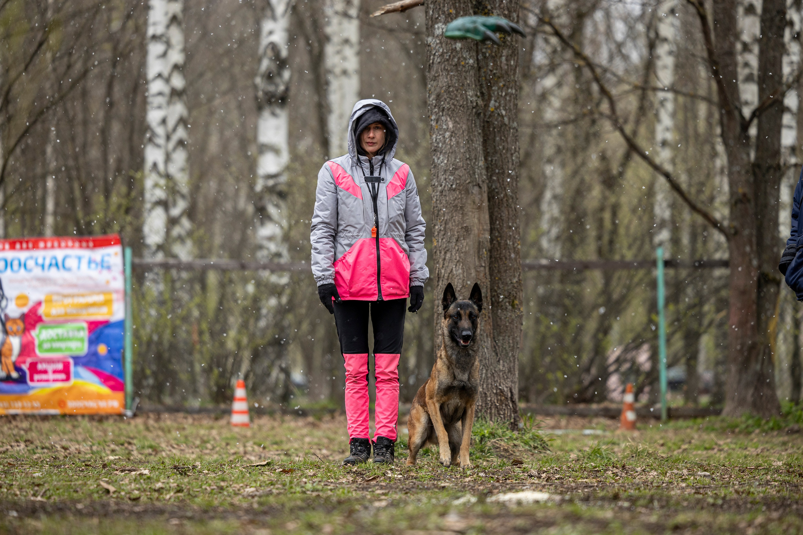 Квалификационные состязания по мондьорингу г. Вологда 11.05.24. Фотограф-анималист Анна Маринич
