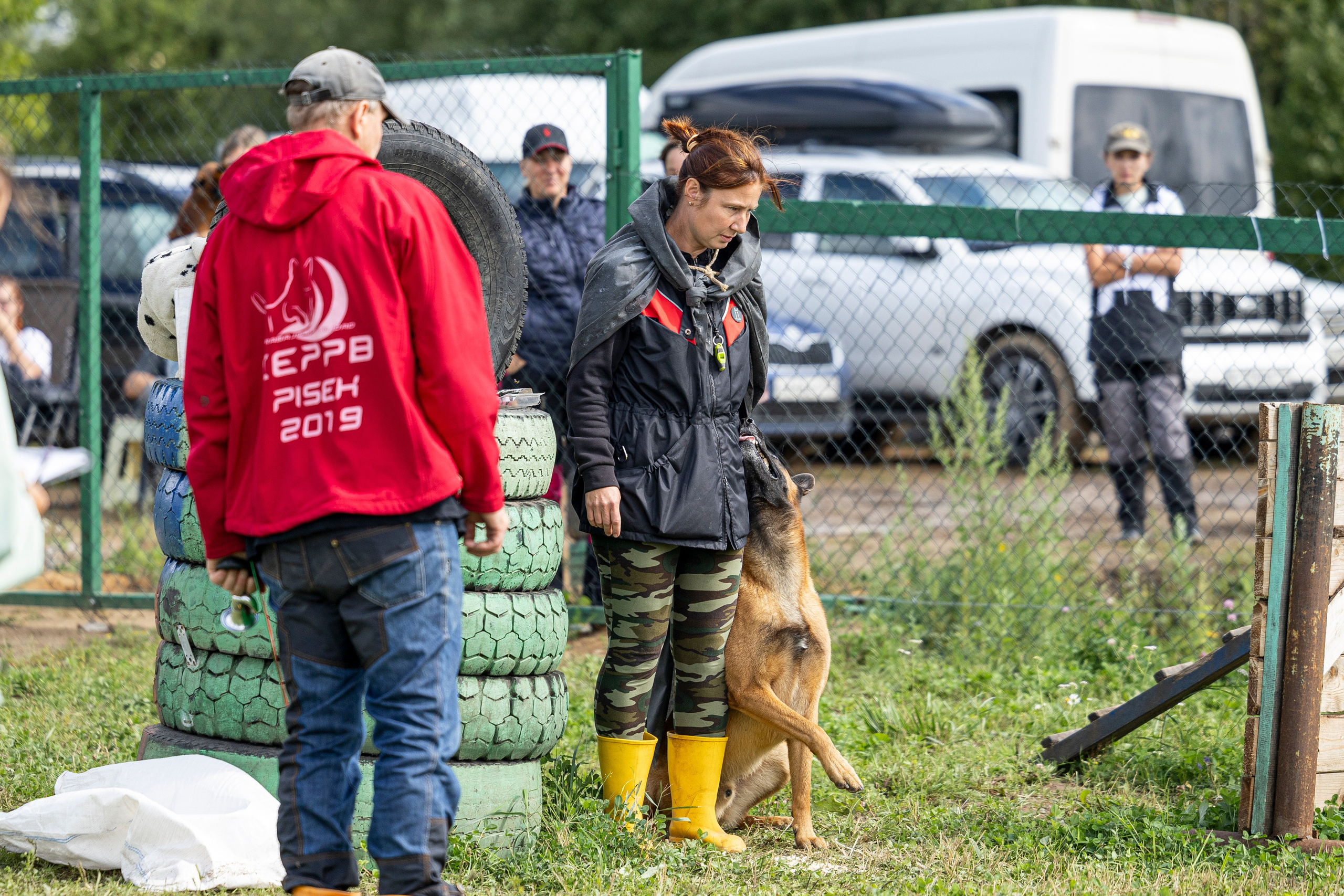 Соревнования по Мондьорингу г. Вологда 10-11.08.2024. Фотограф-анималист Анна Маринич