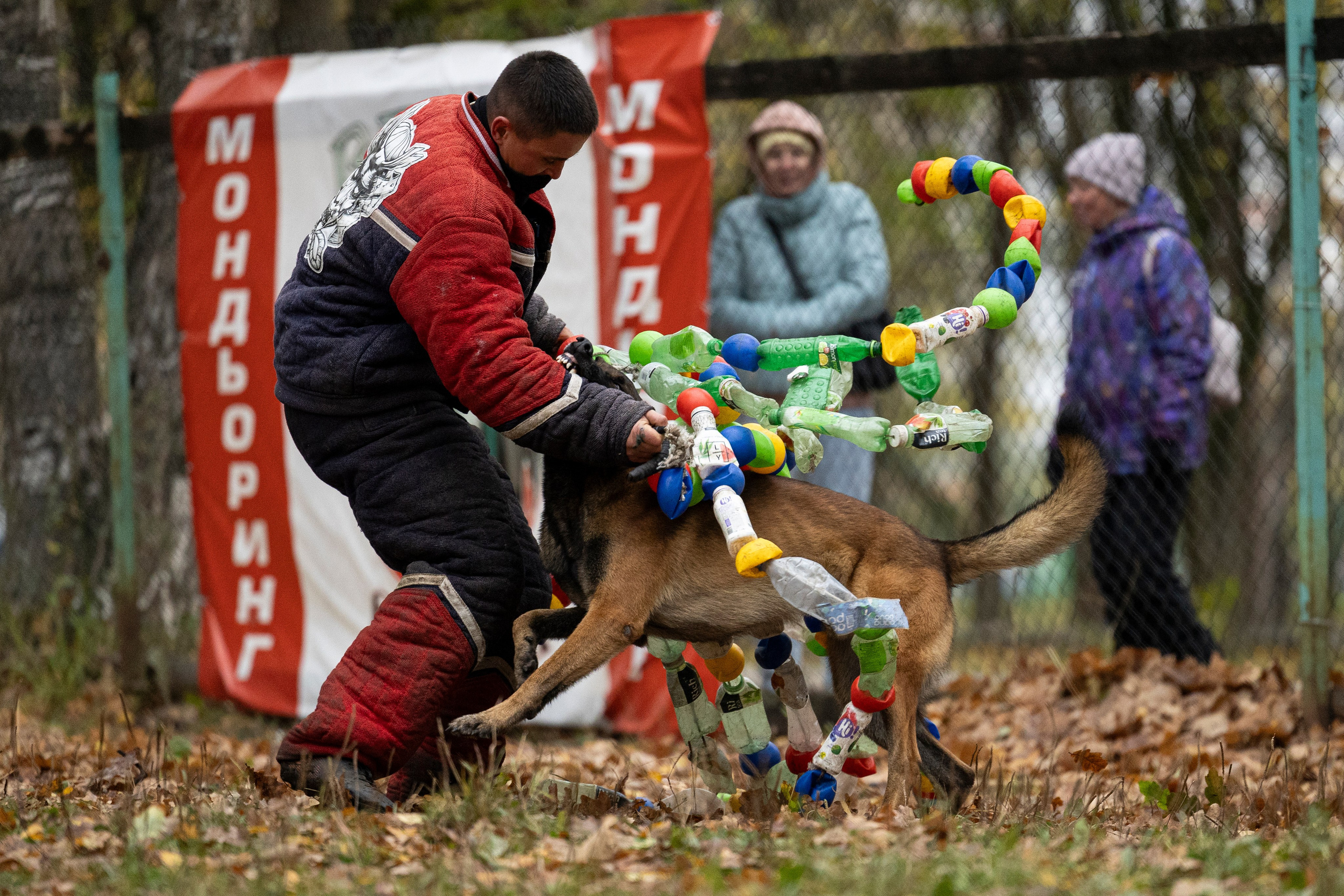 Соревнования по Мондьорингу г. Вологда. Фотограф-анималист Анна Маринич