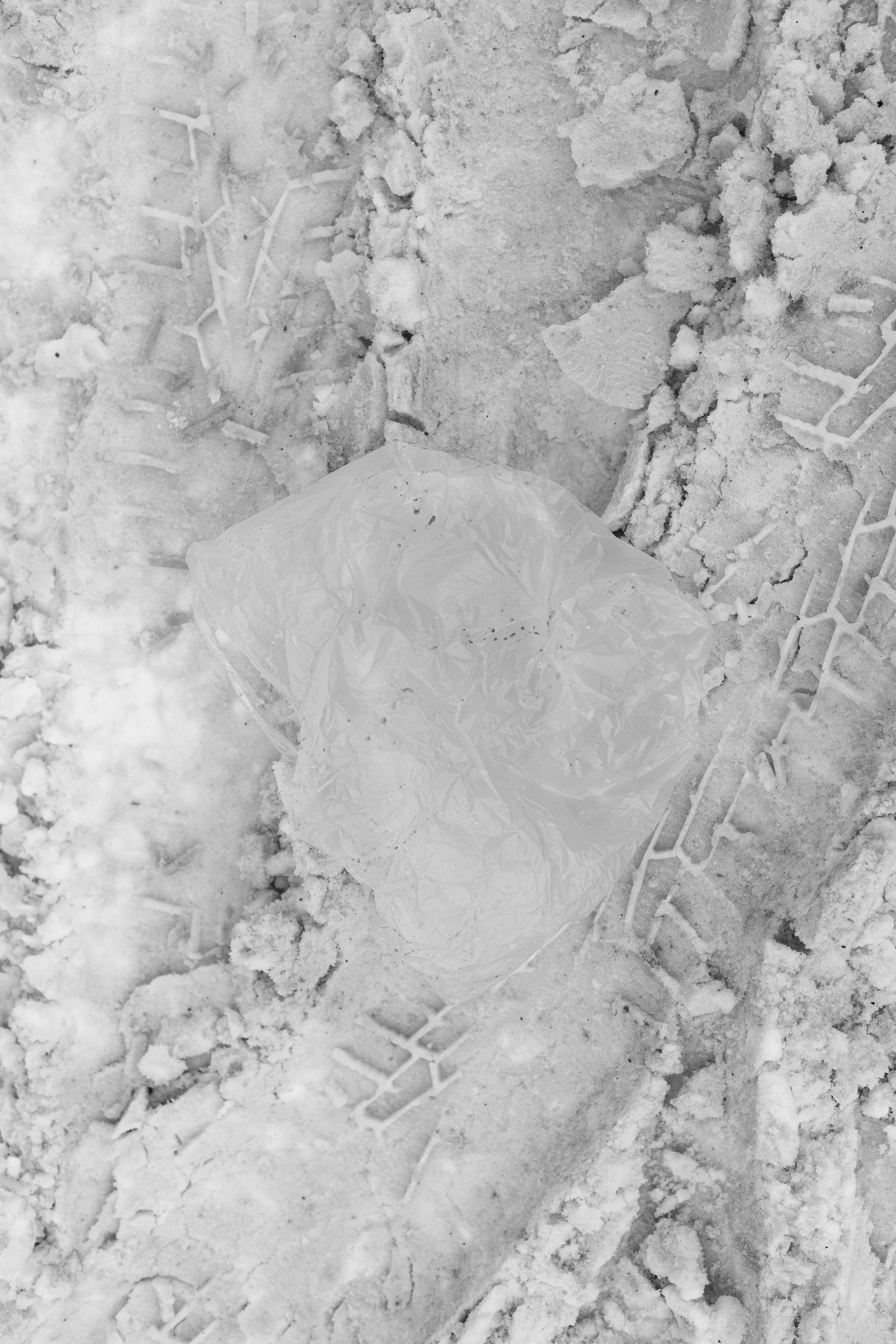 Бежецк. Портретный фотограф в Москве Тимур Мансуров