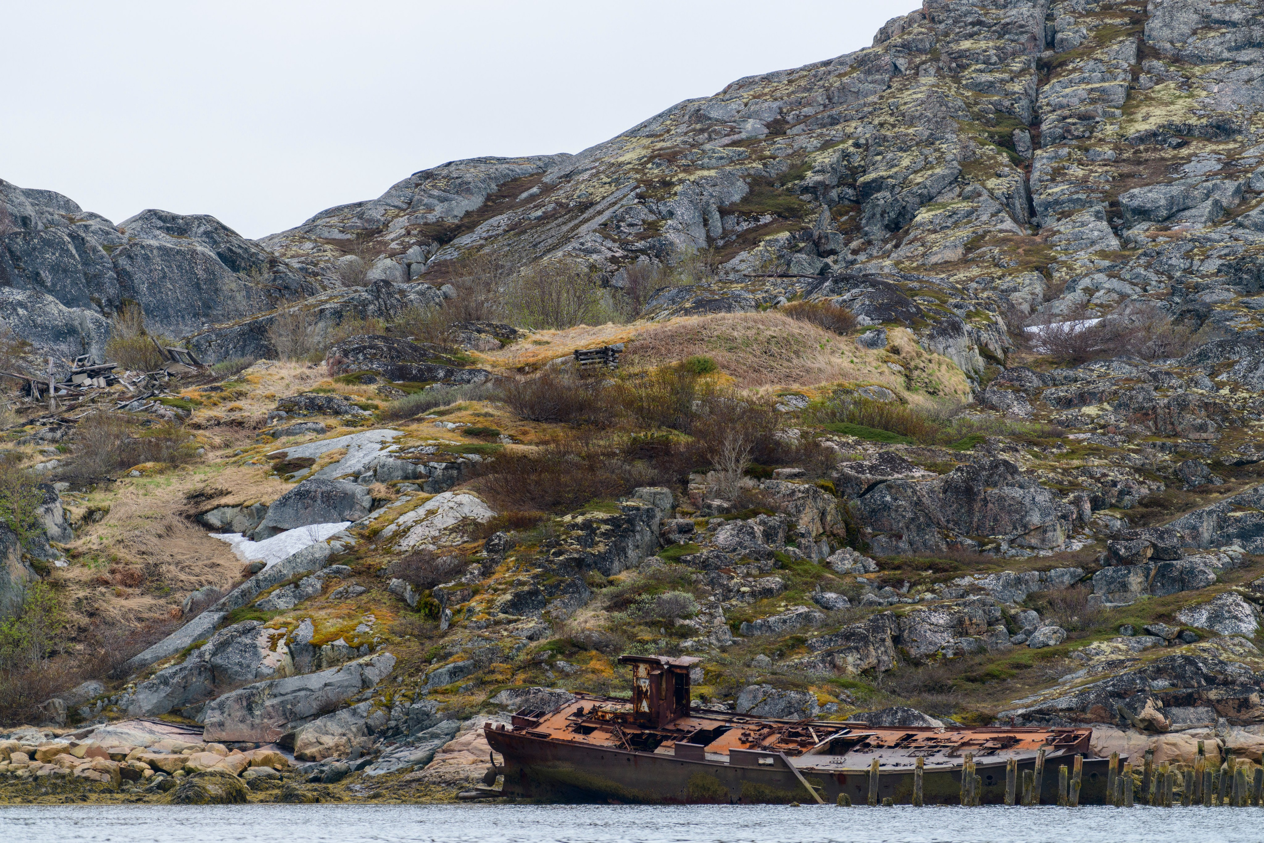 Мурманская область. Июнь 2024. Фотограф Сергей Пупонин