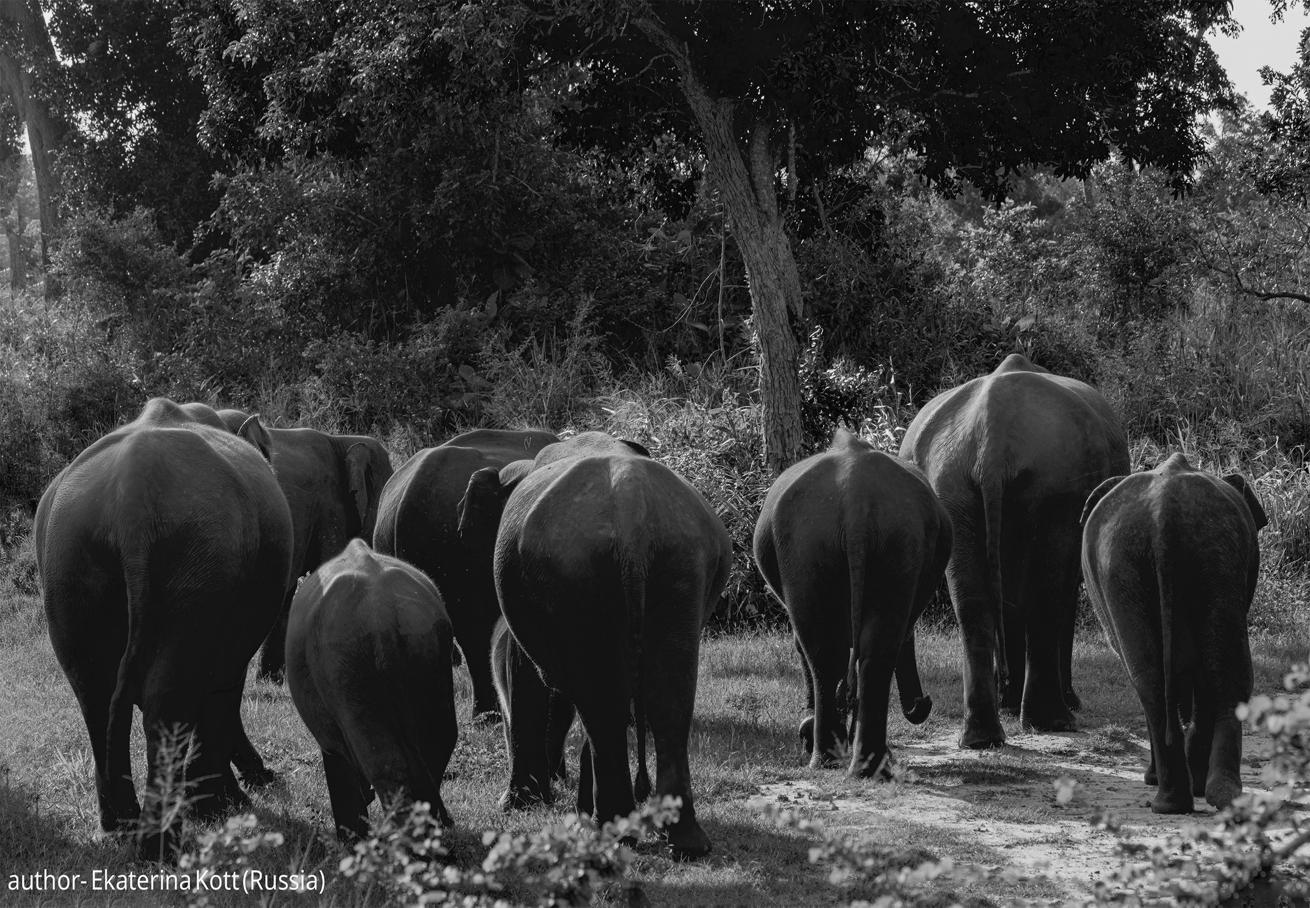 Gallery. UNUSUAL TALENT magazine