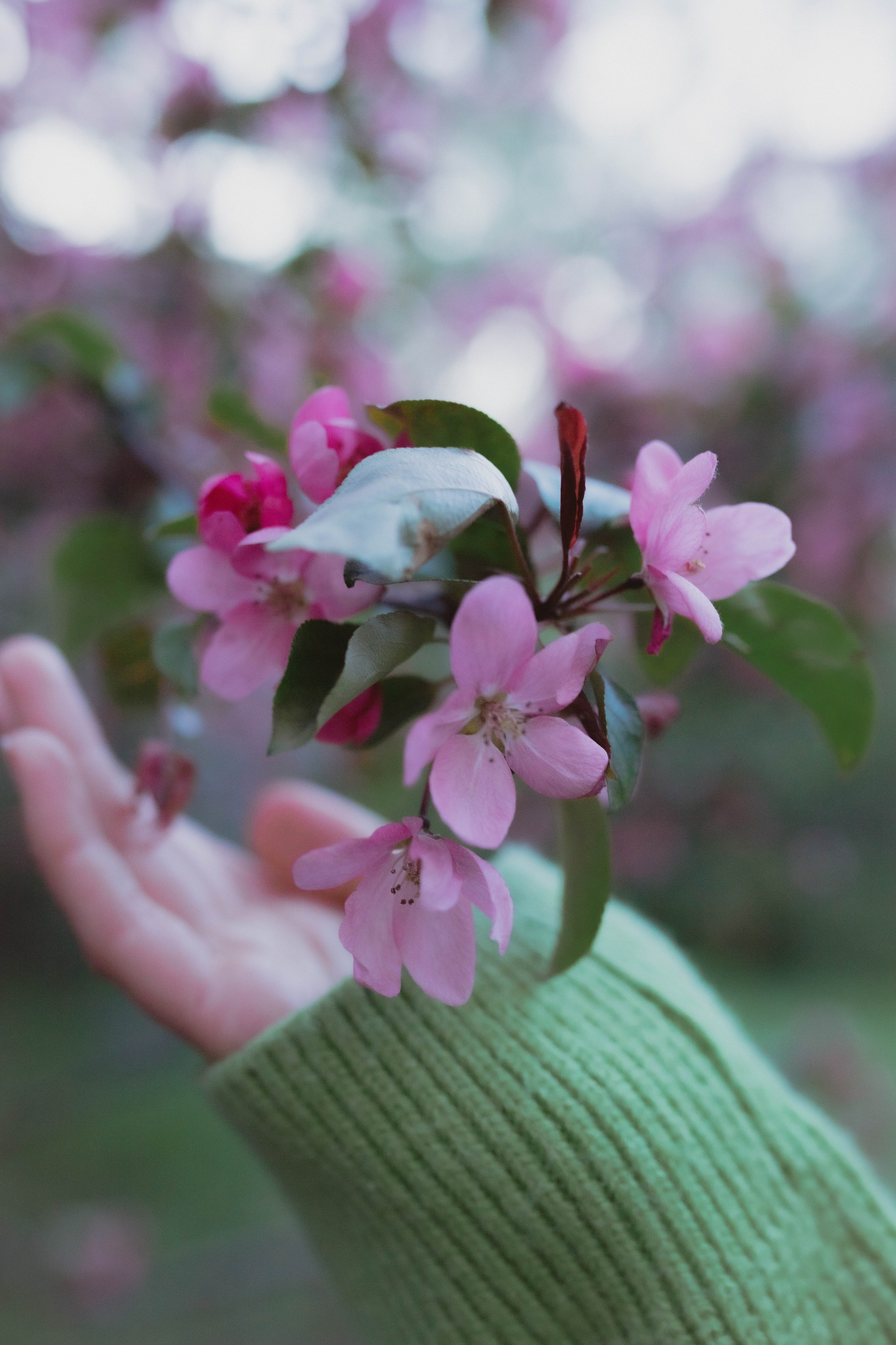 Диана. Александра Мельниченко/ Бегающий фотограф