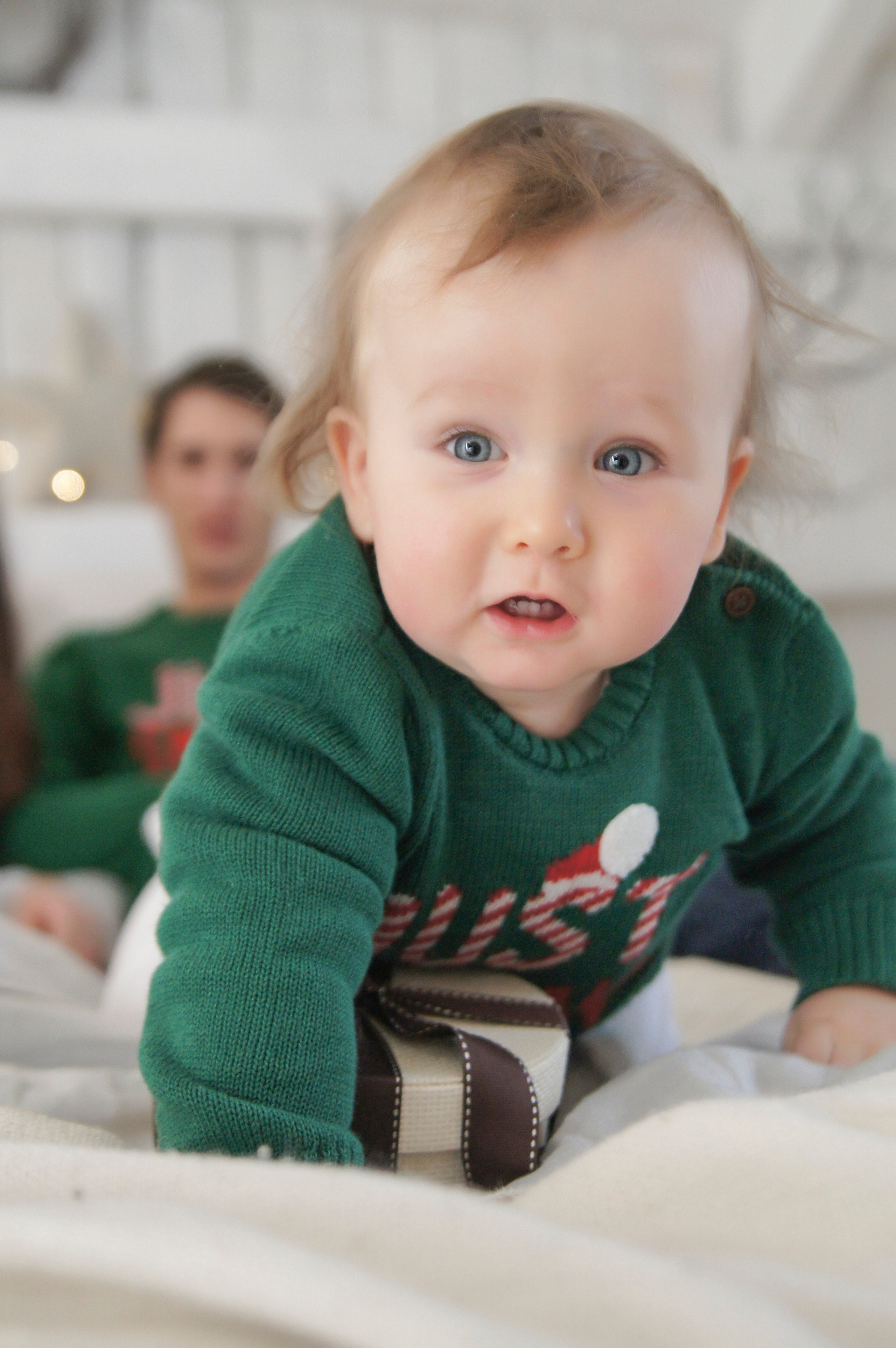 Новогодние радости. APPHOTOGRAPHY | Фотохудожник Анна Камчатная