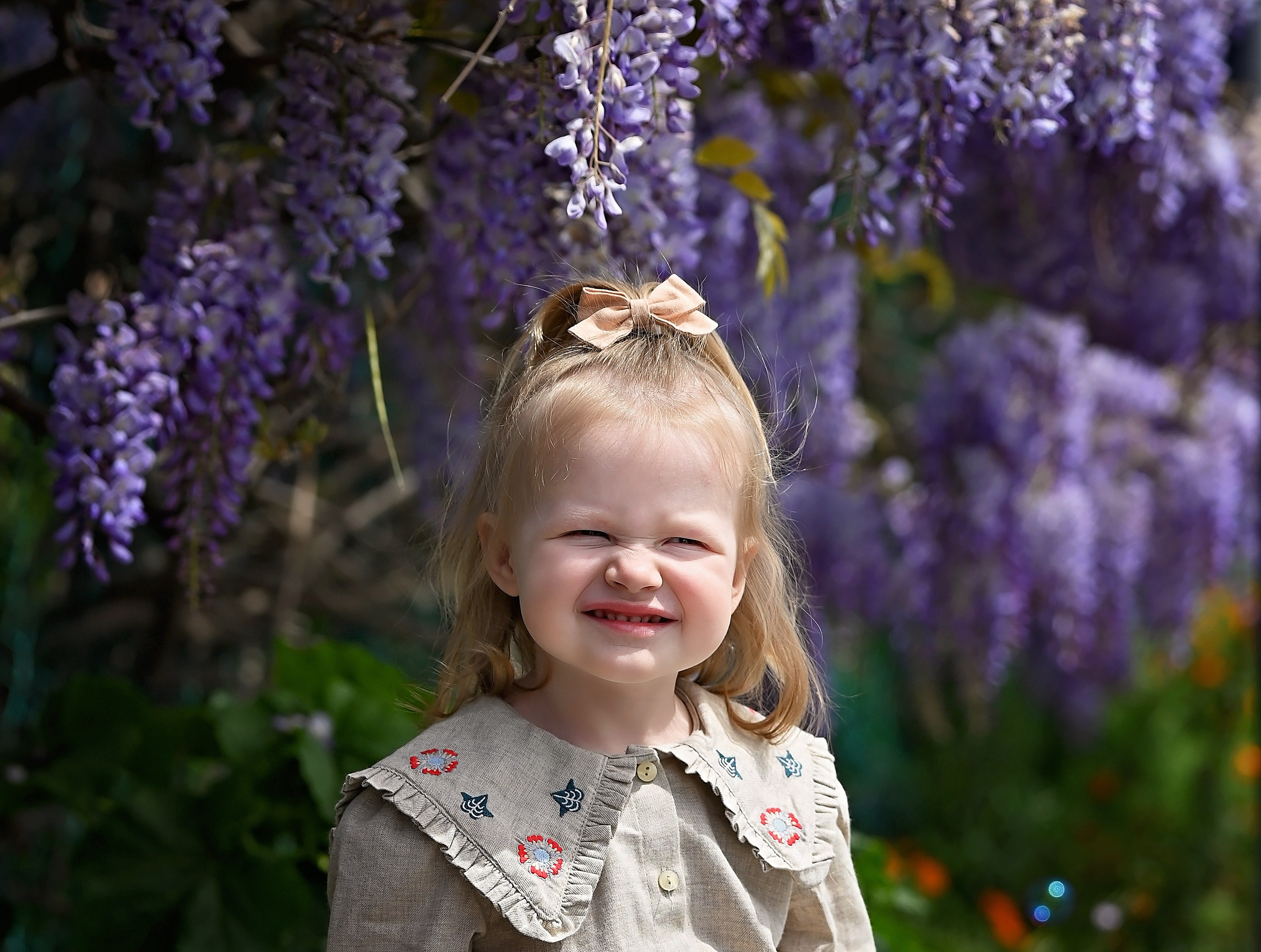 Глициния. Главная